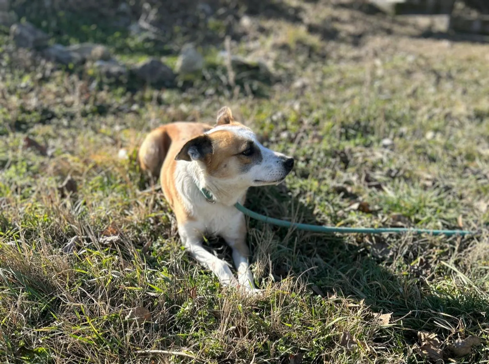 Darcy, Bild 10