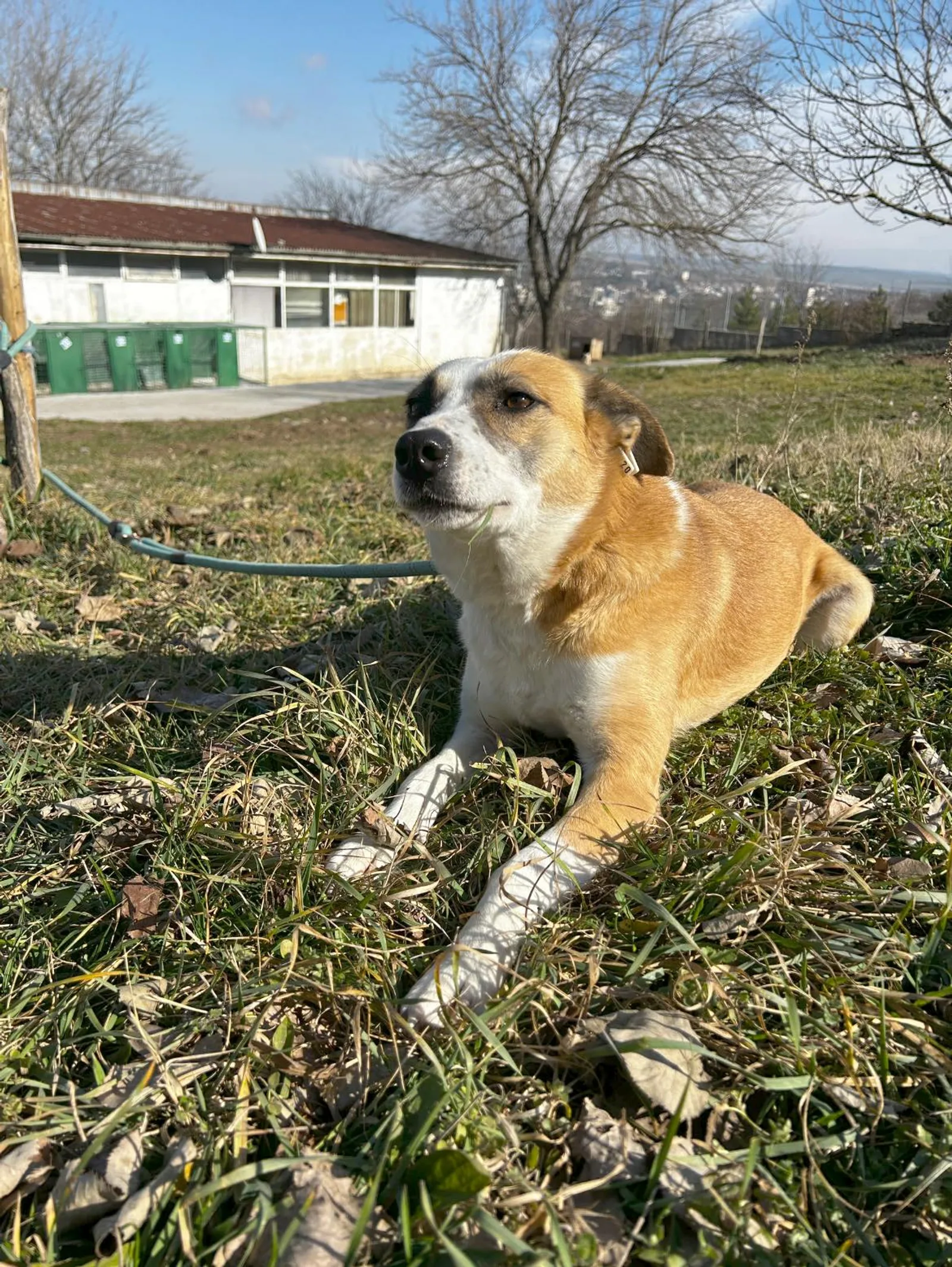 Darcy, Bild 8