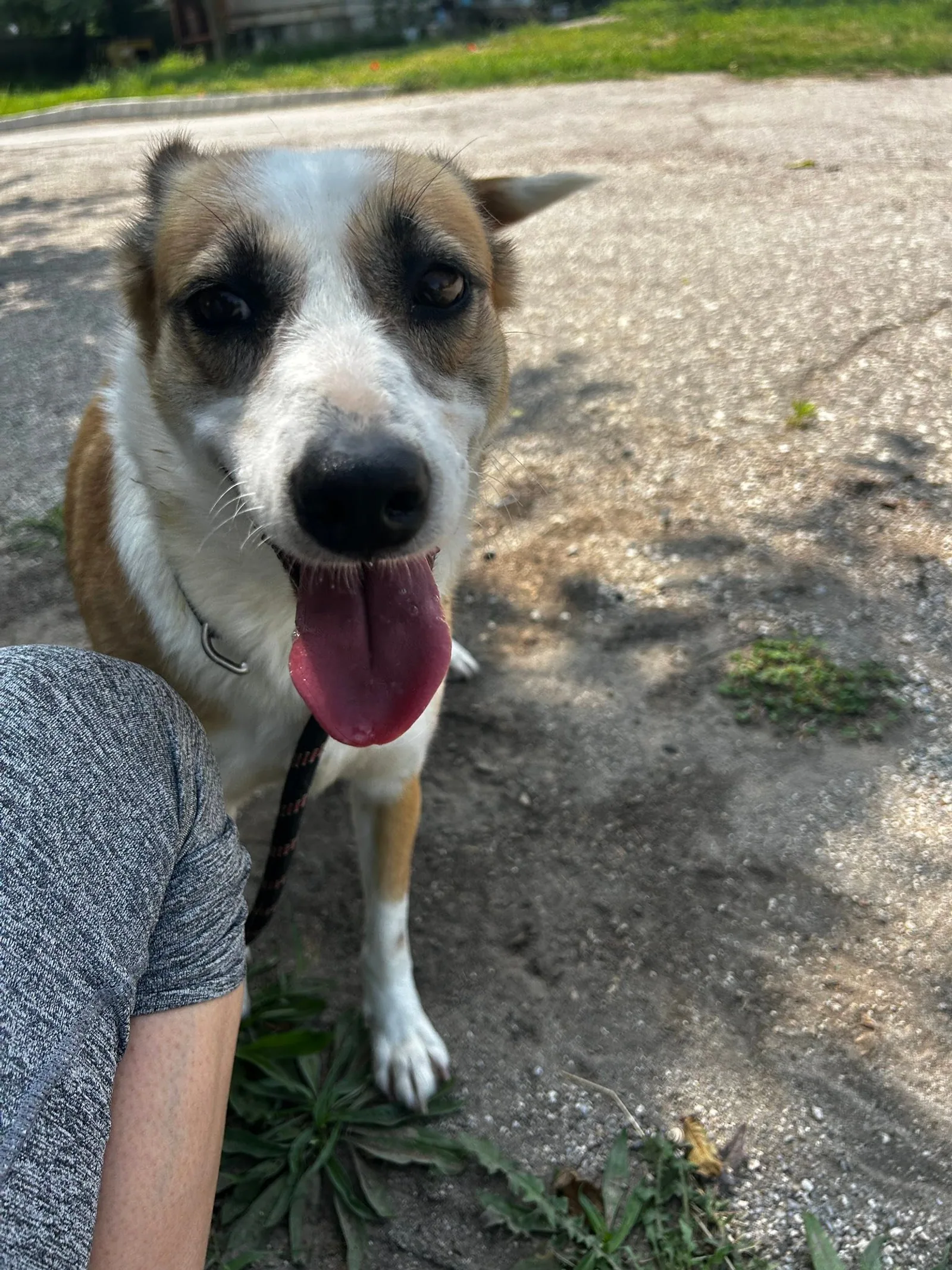 Darcy, Bild 23