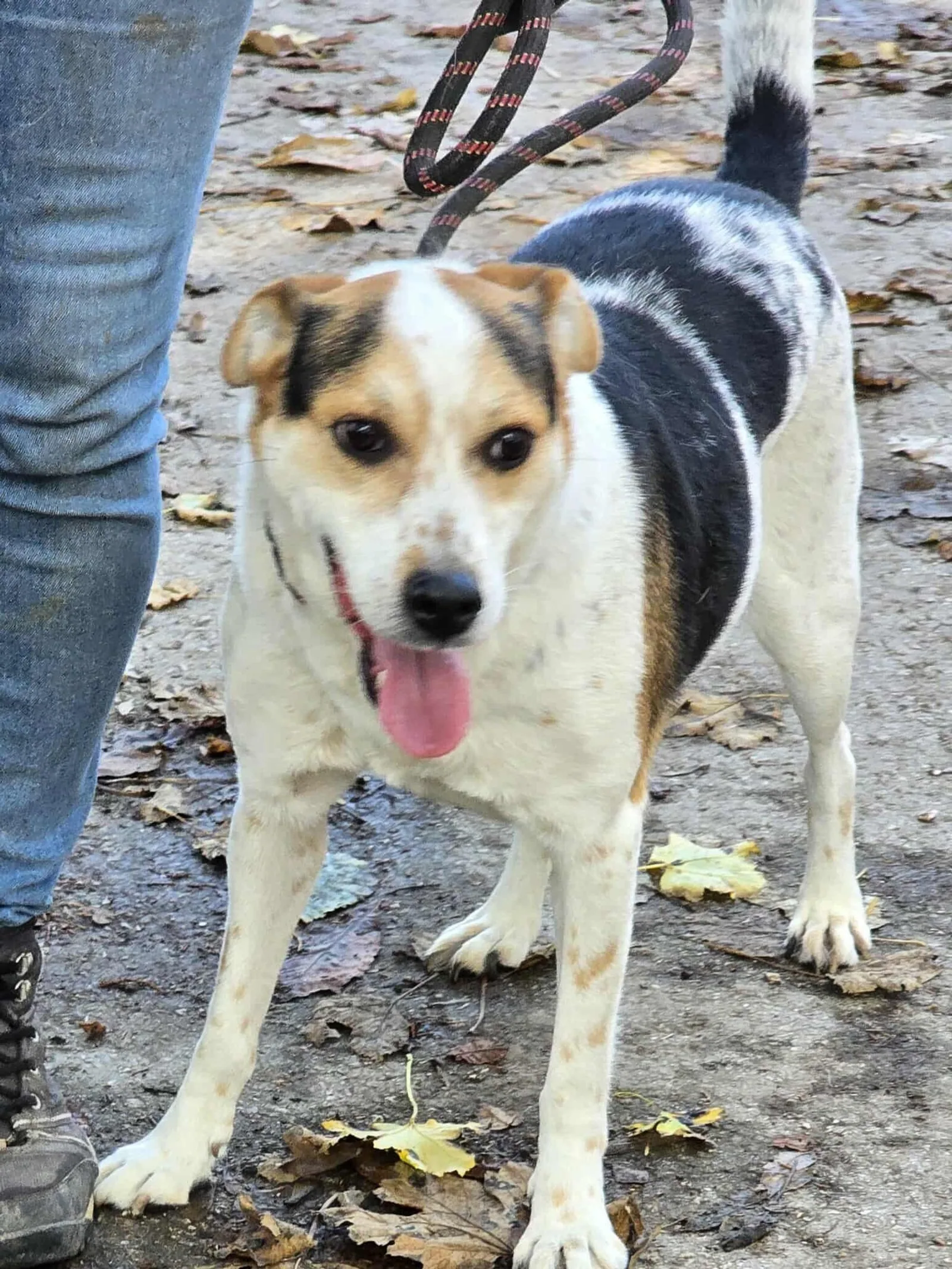 Gary, Bild 20