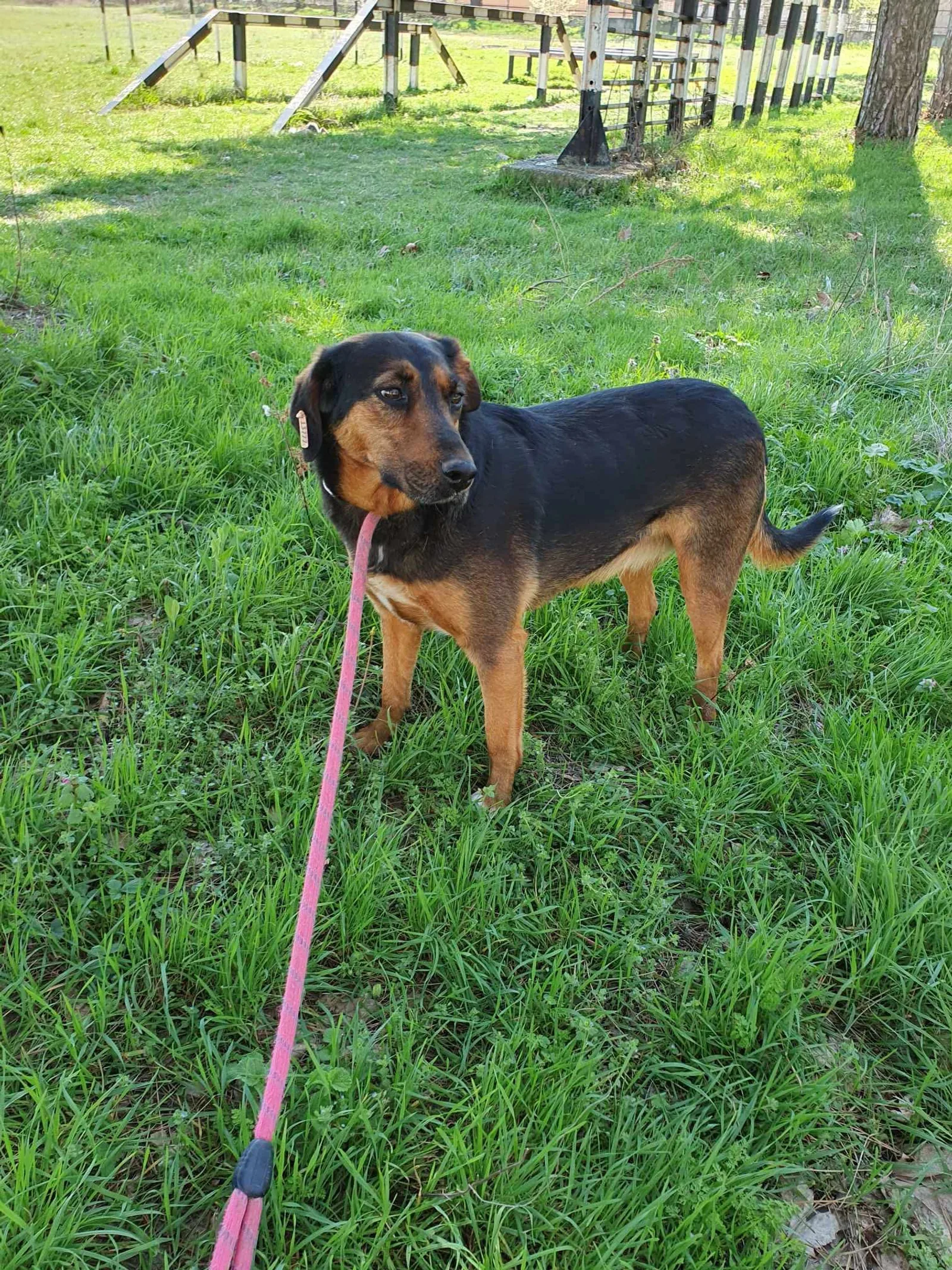 Lily, Bild 2