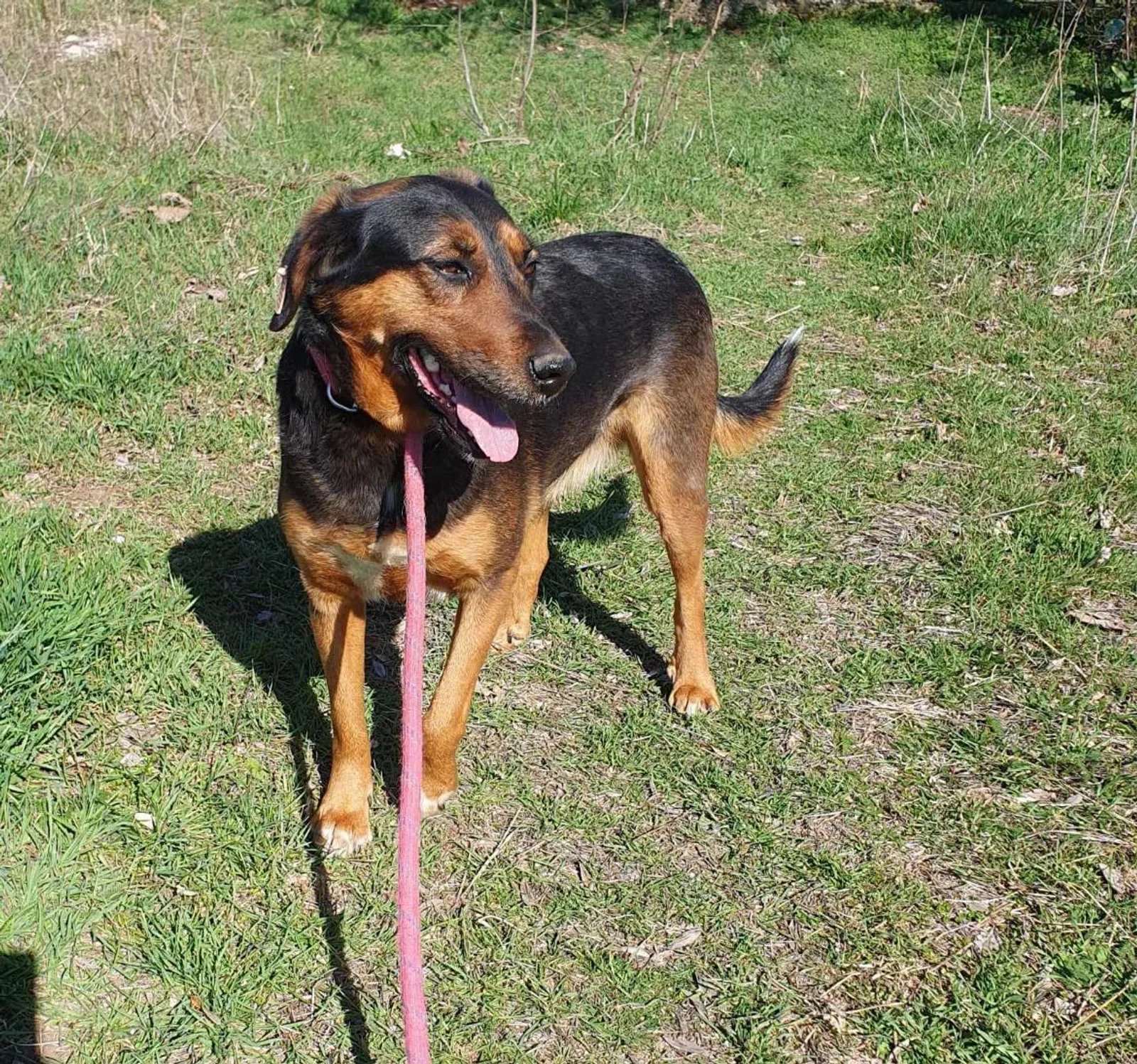 Lily, Bild 3