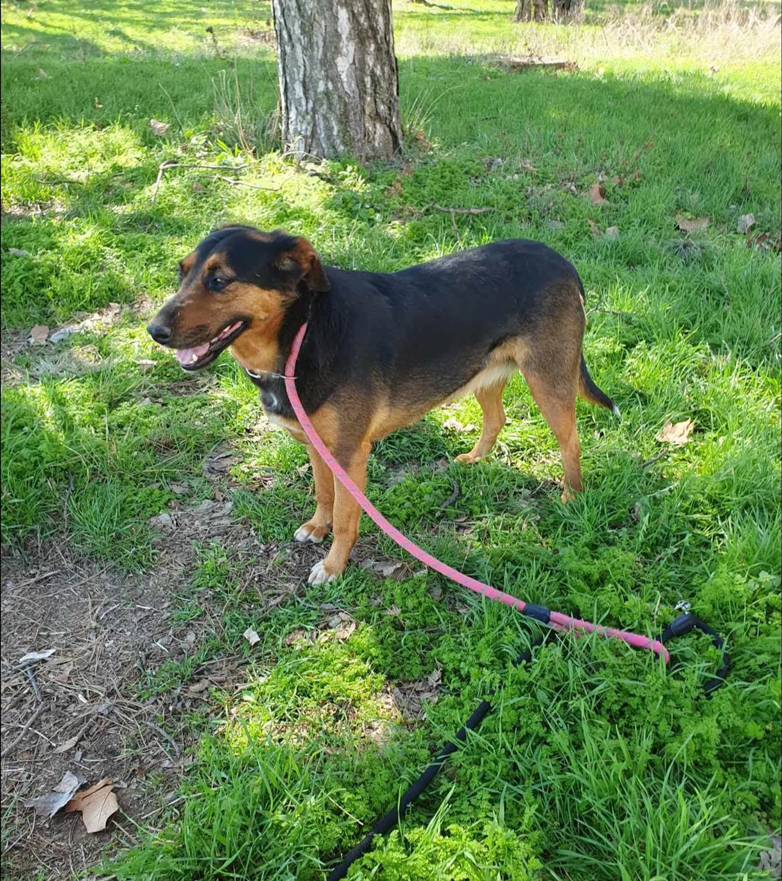 Lily, Bild 5
