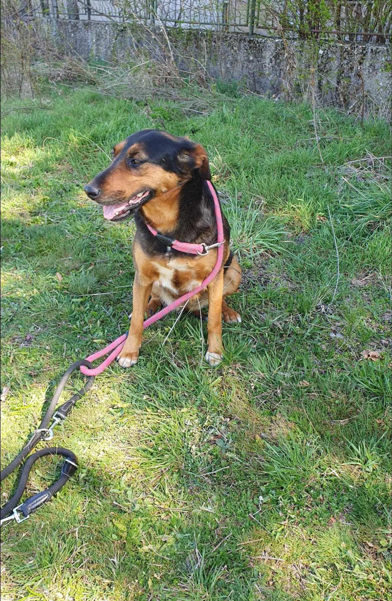 Lily, Bild 7