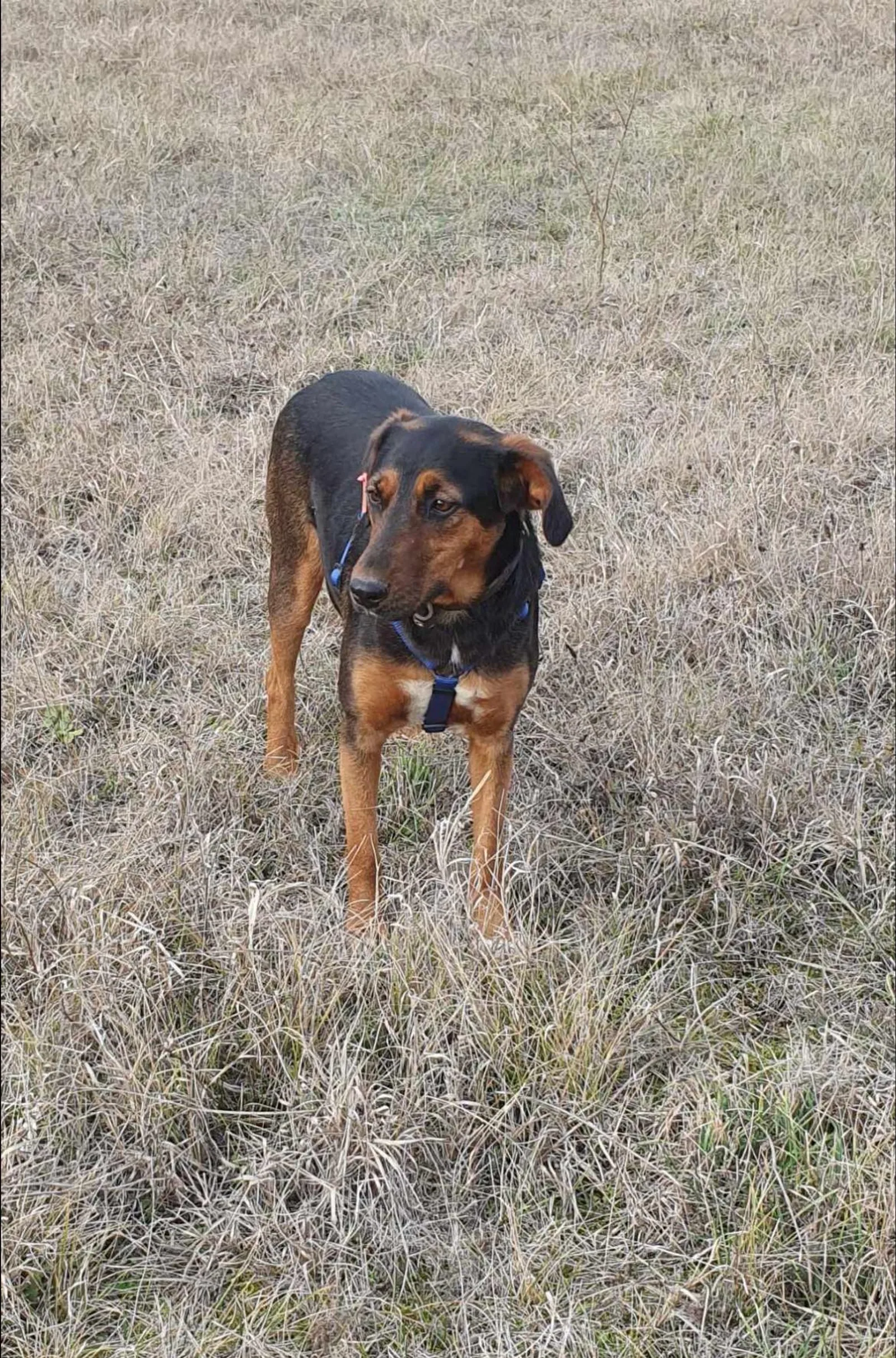 Lily, Bild 12
