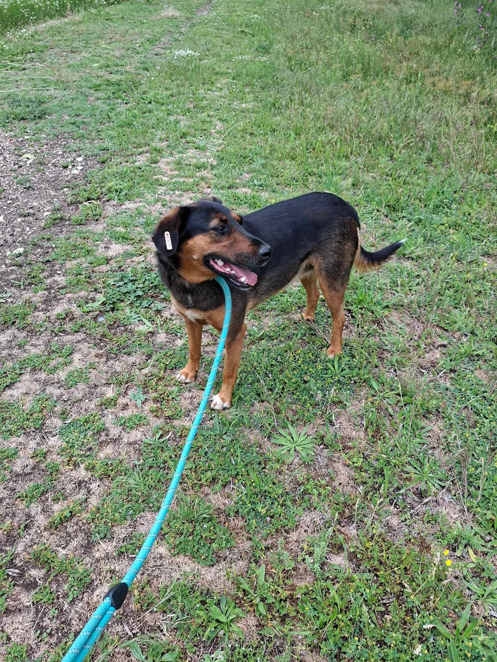 Lily, Bild 18