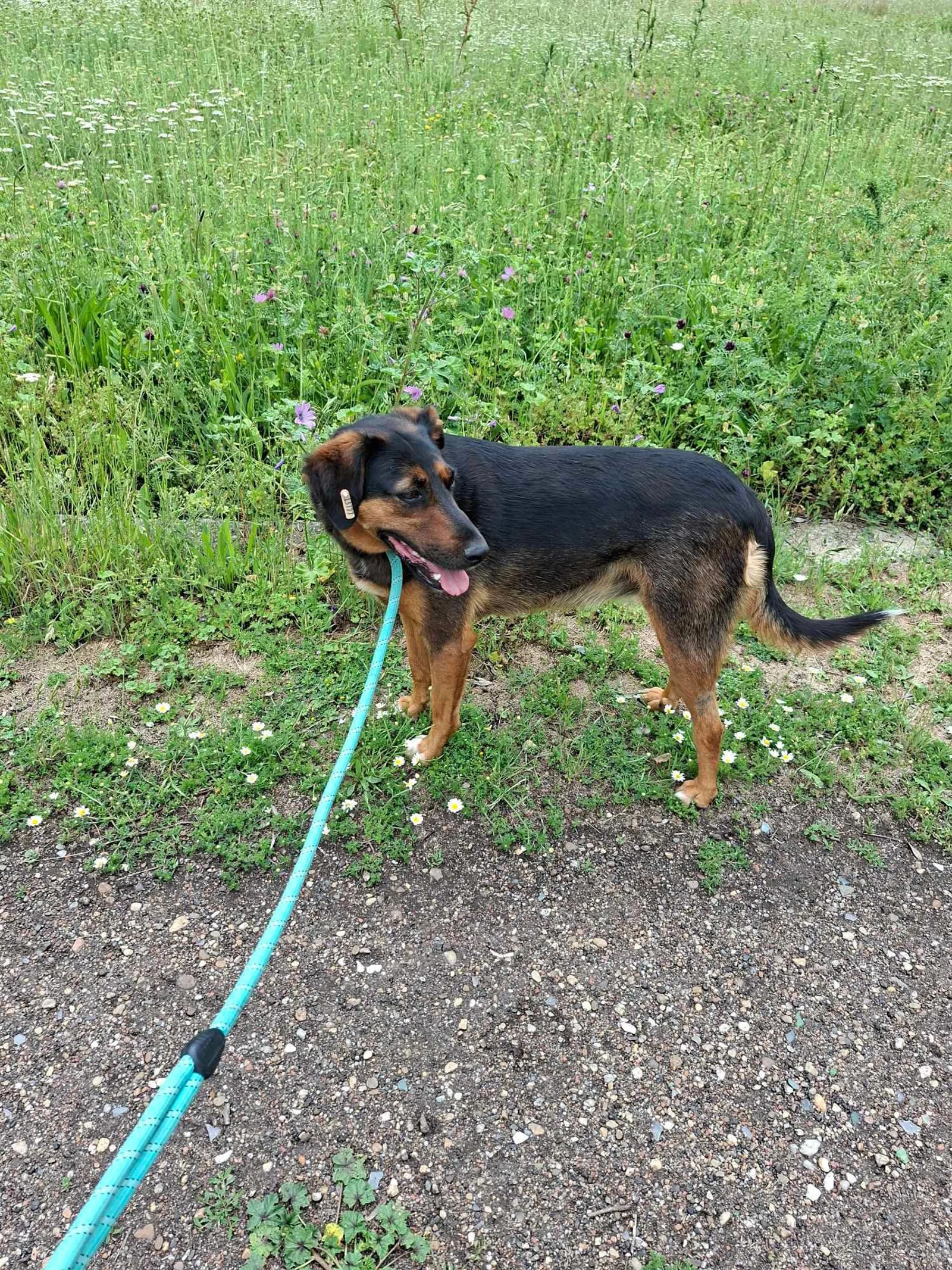 Lily, Bild 20