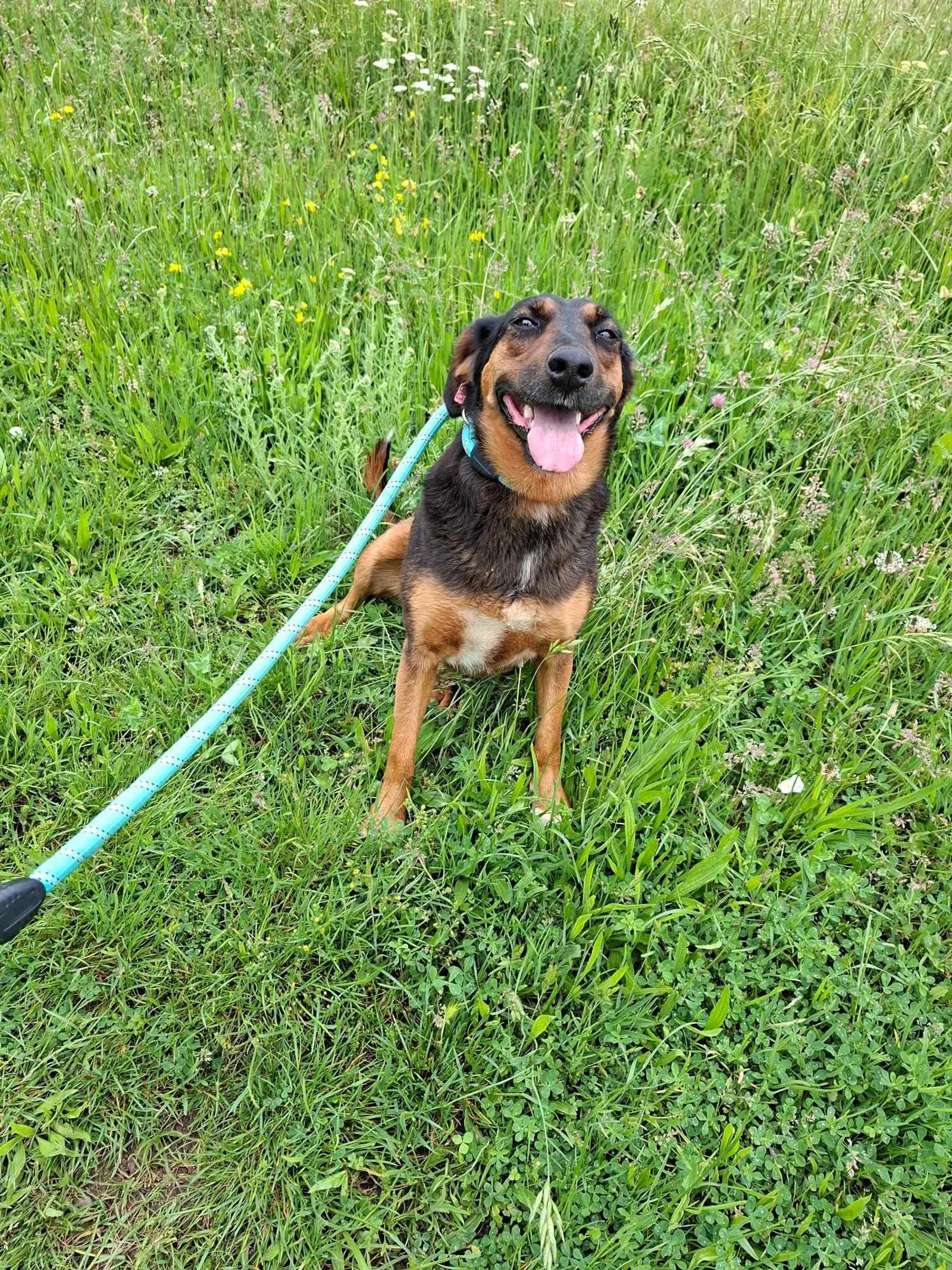 Lily, Bild 17