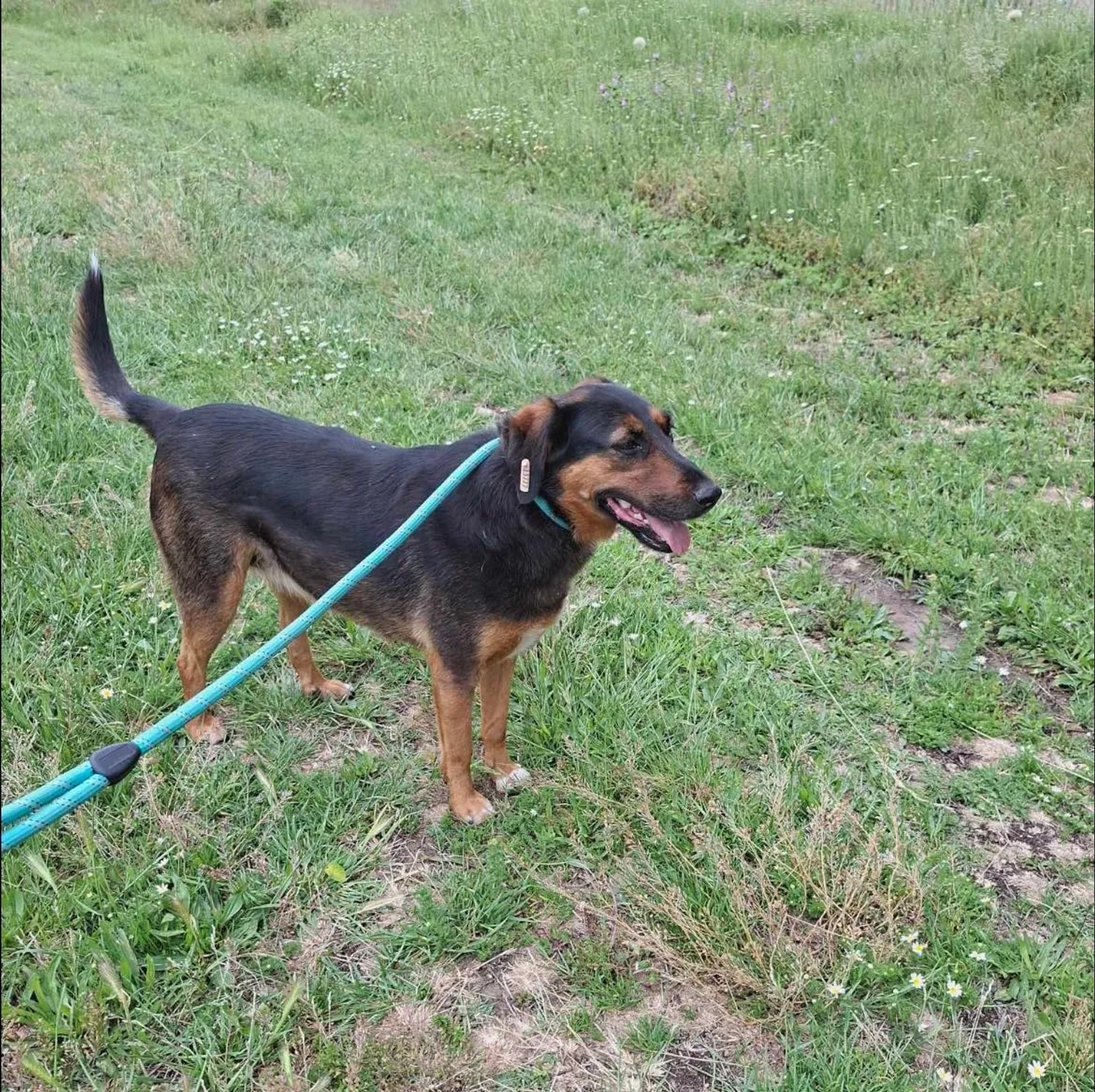 Lily, Bild 19