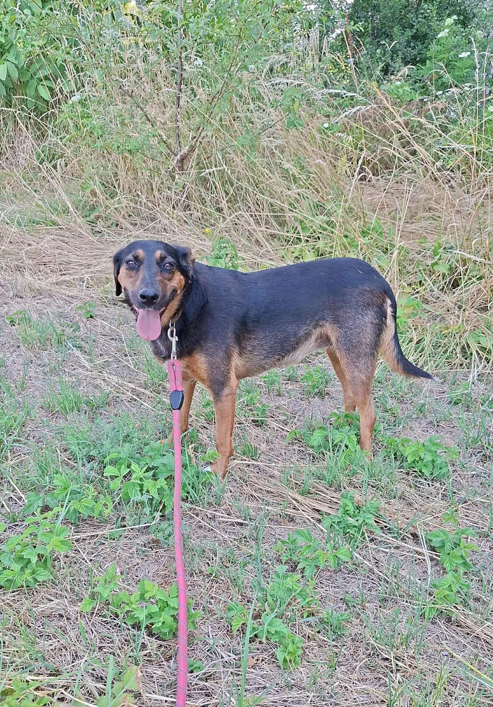 Lily, Bild 25