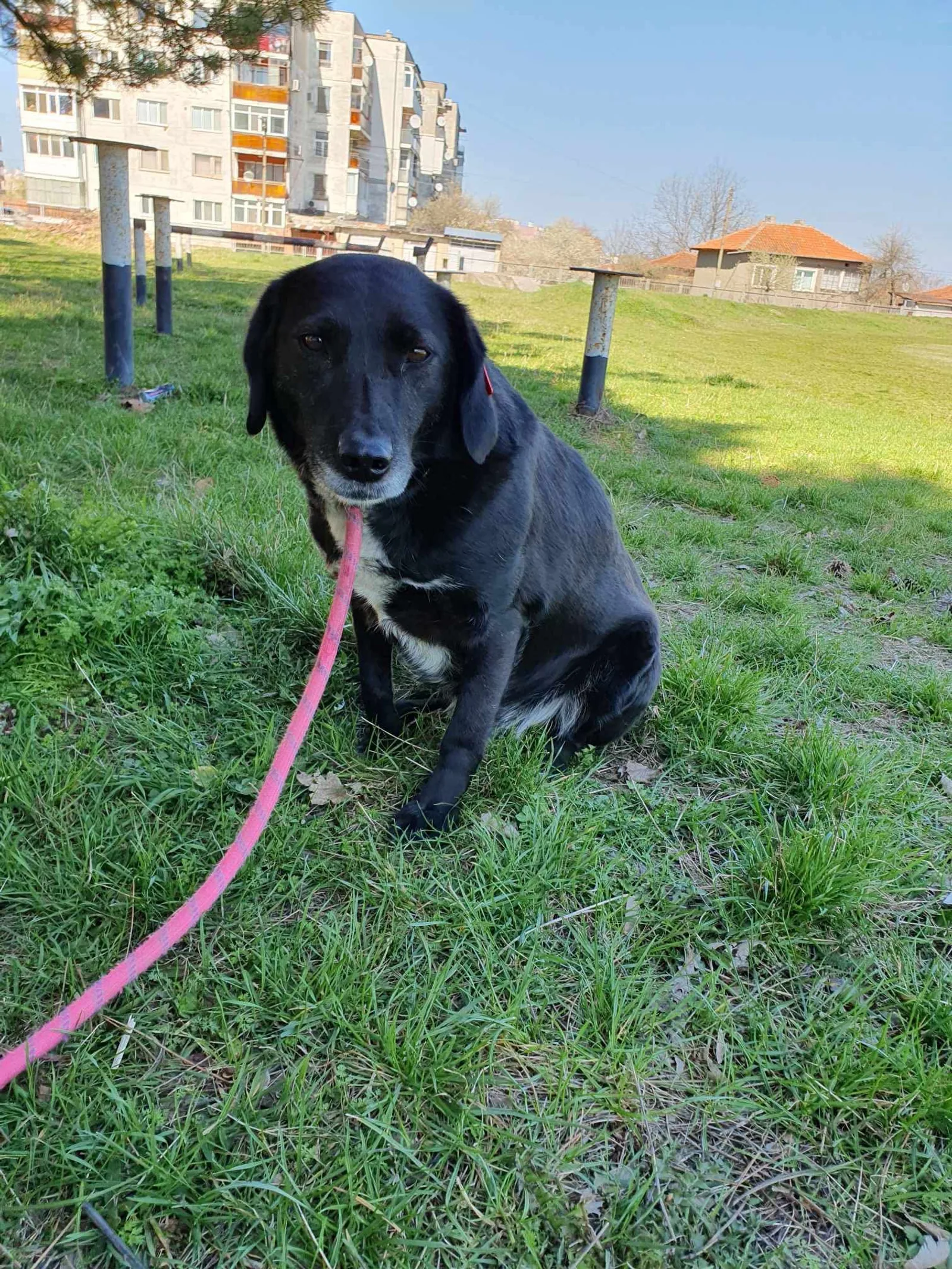 Charlie, Bild 5