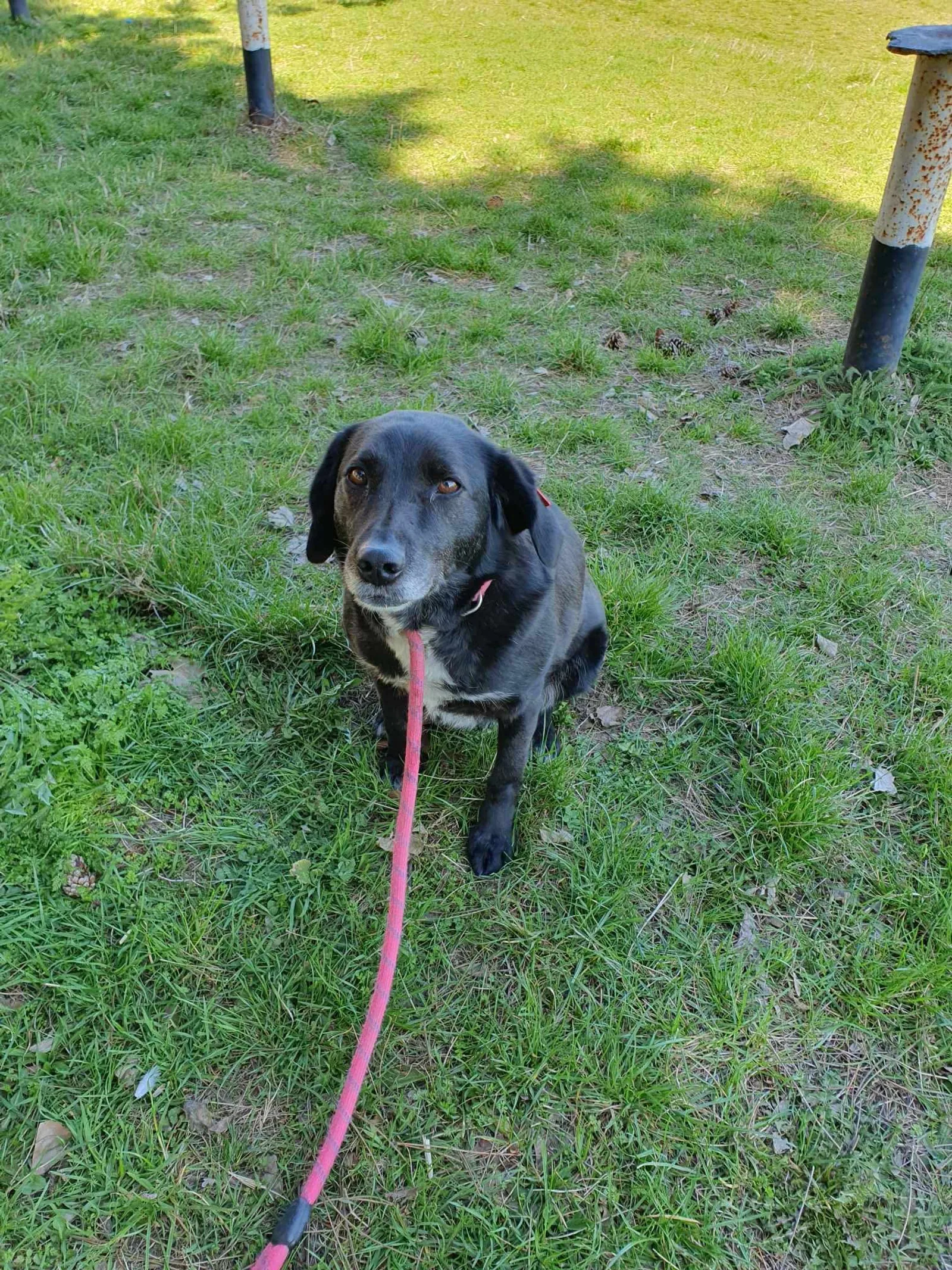 Charlie, Bild 7