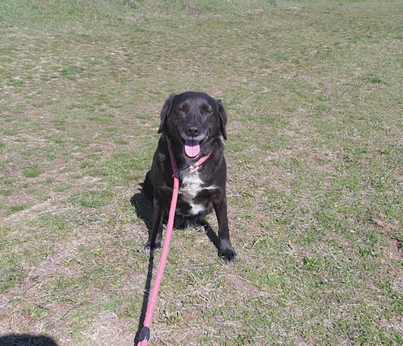 Charlie, Bild 2