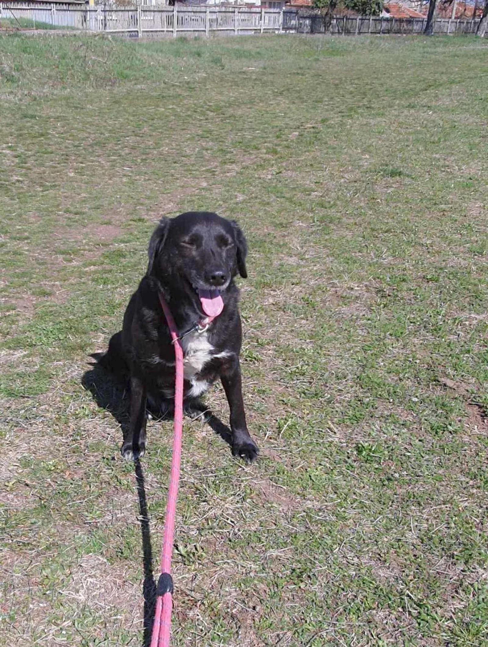 Charlie, Bild 3