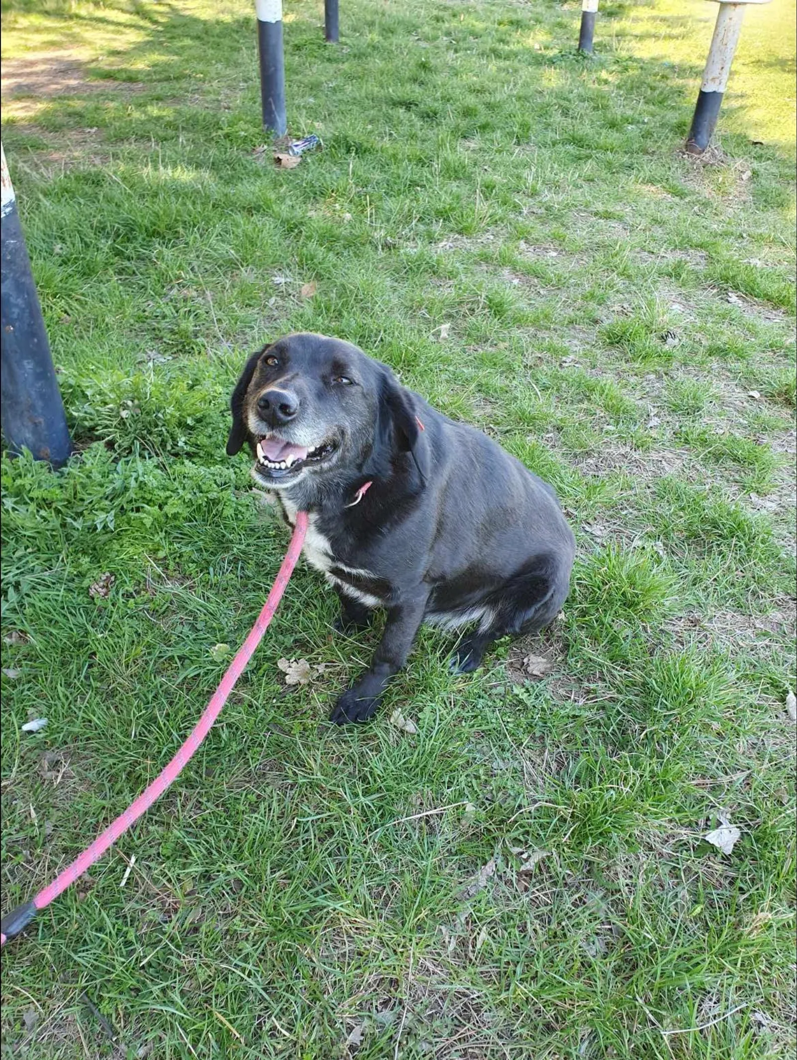 Charlie, Bild 4