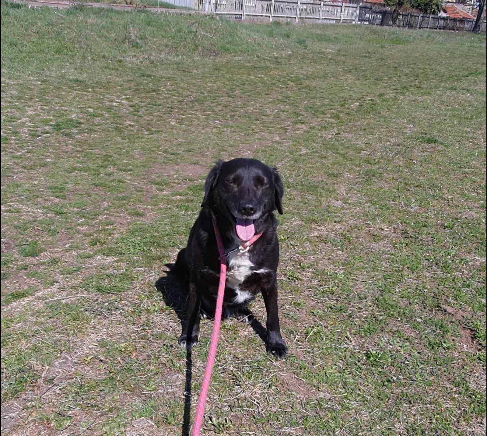 Charlie, Bild 6