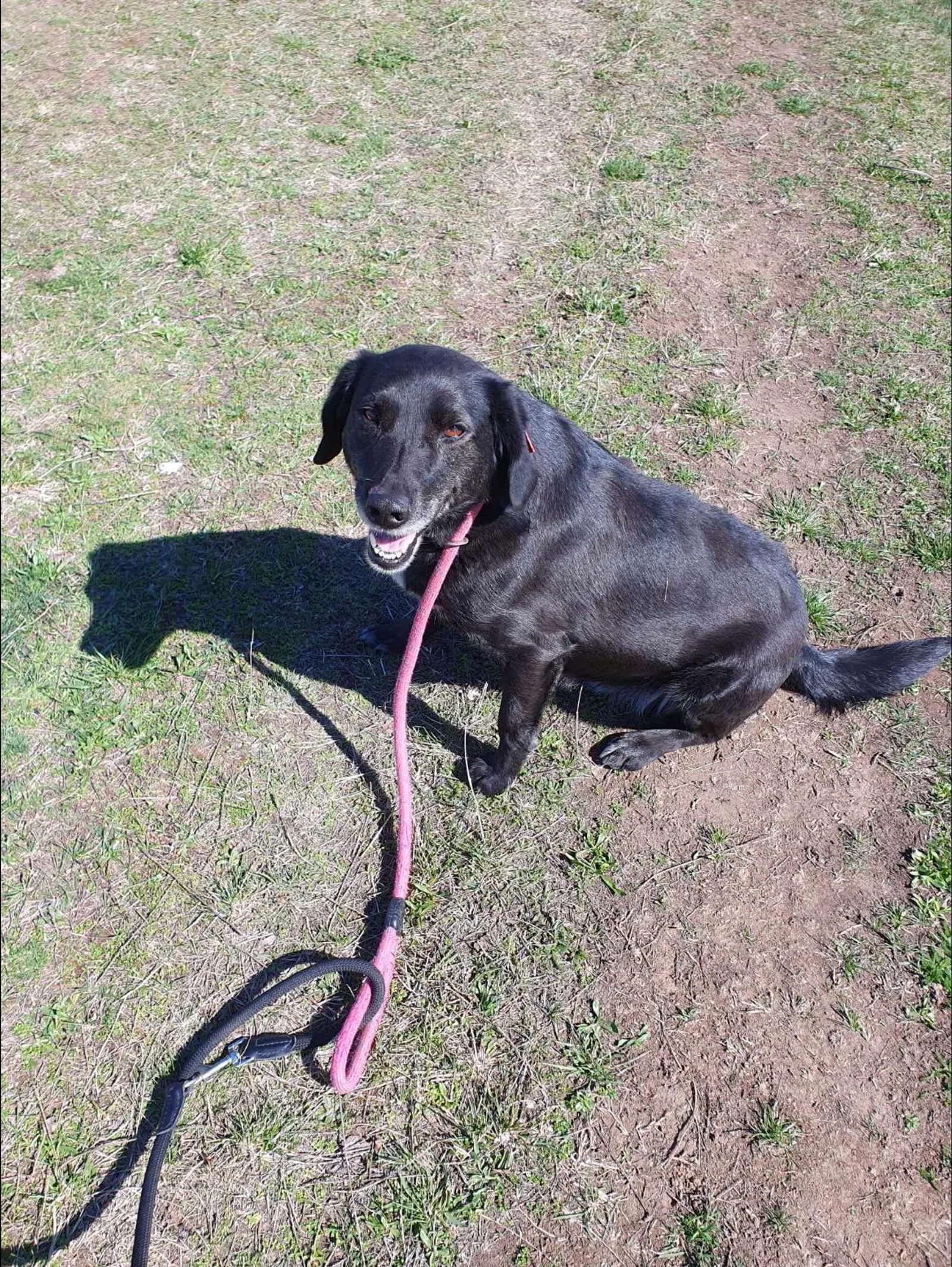 Charlie, Bild 8