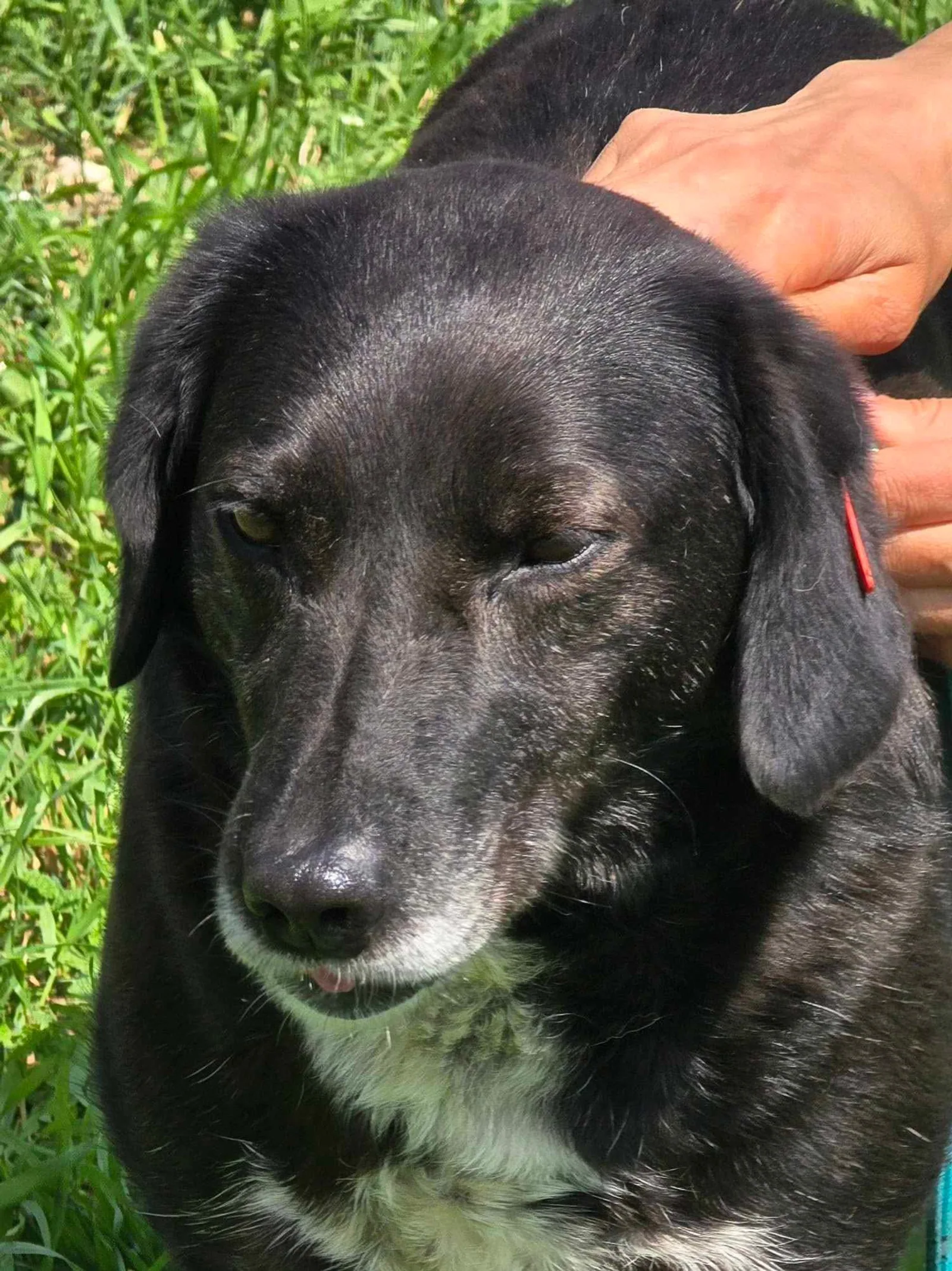Charlie, Bild 15