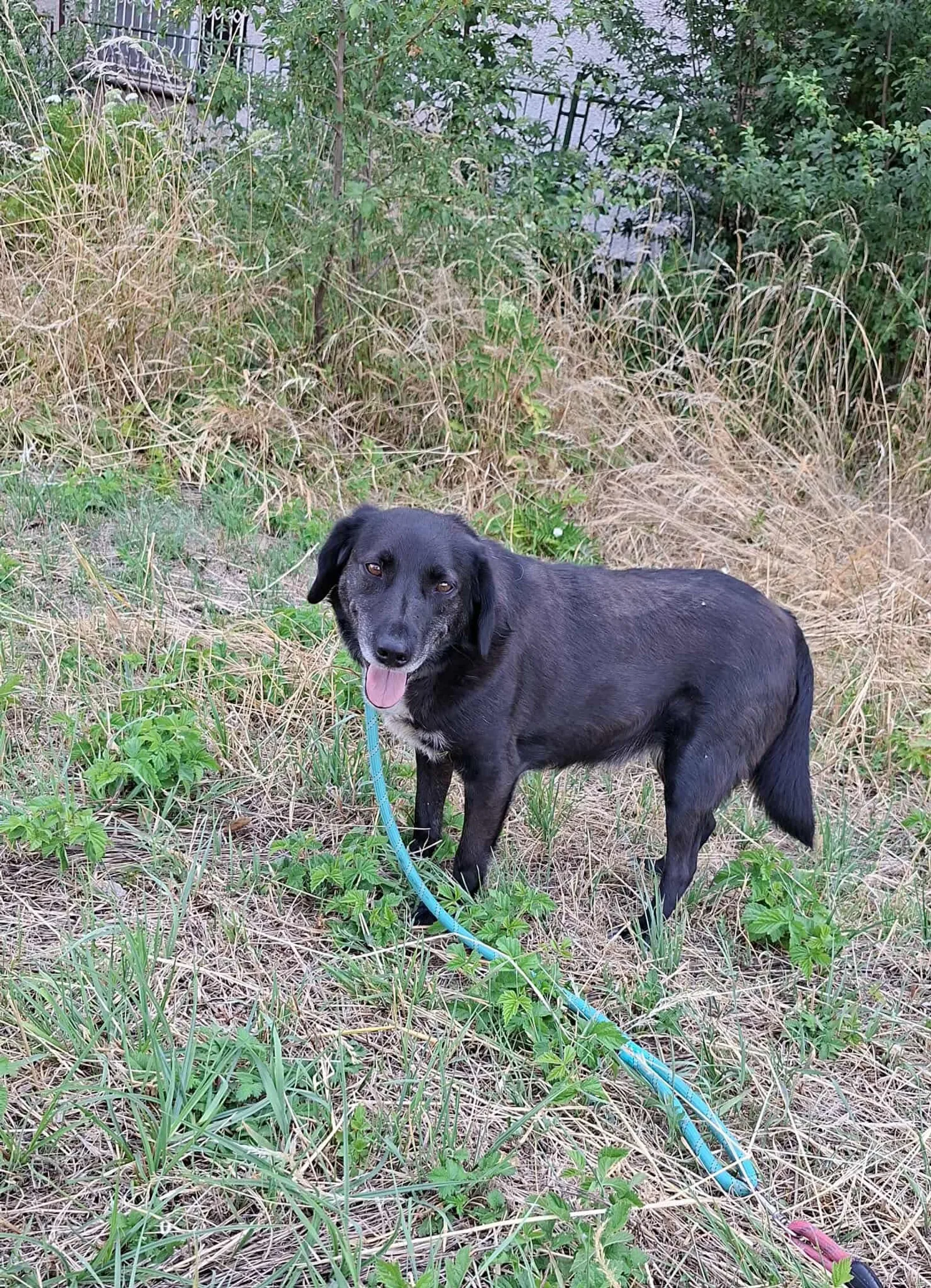 Charlie, Bild 20