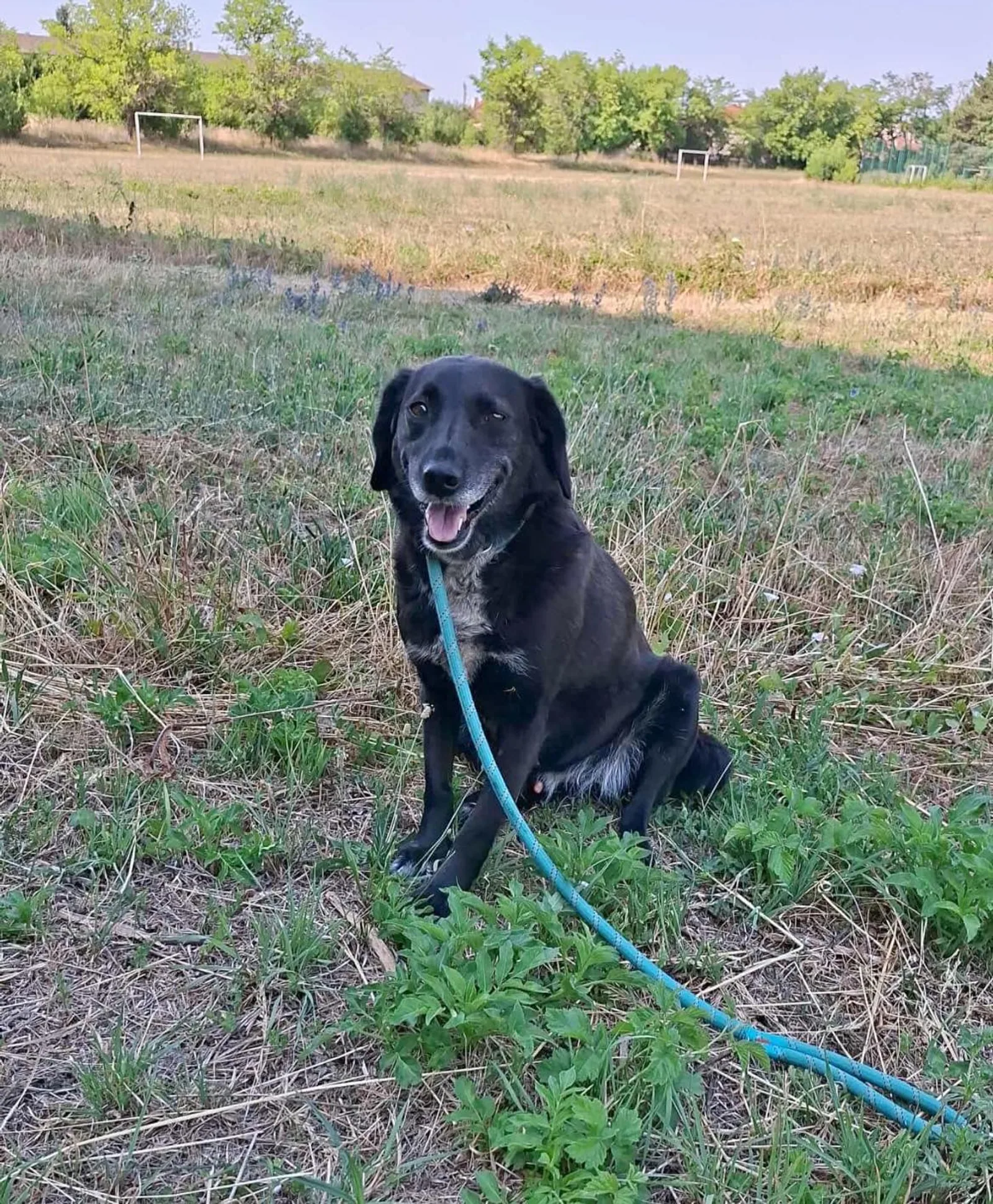 Charlie, Bild 17