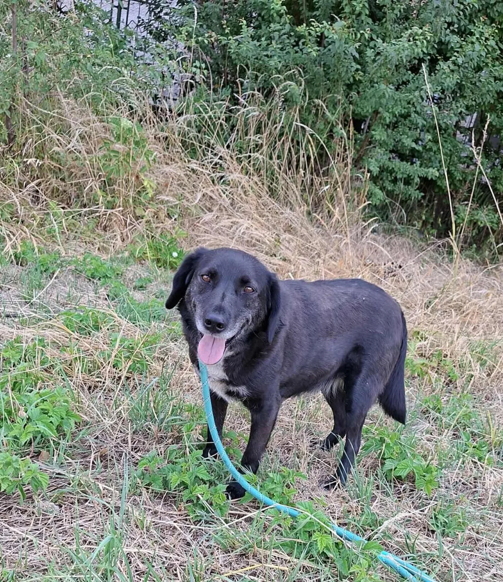 Charlie, Bild 19