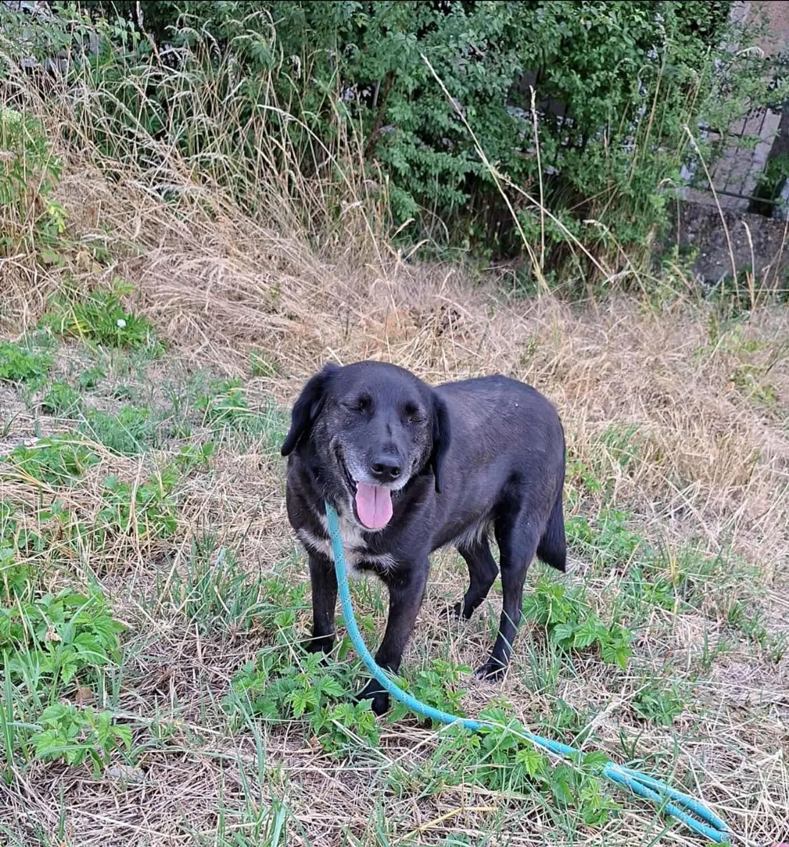 Charlie, Bild 21