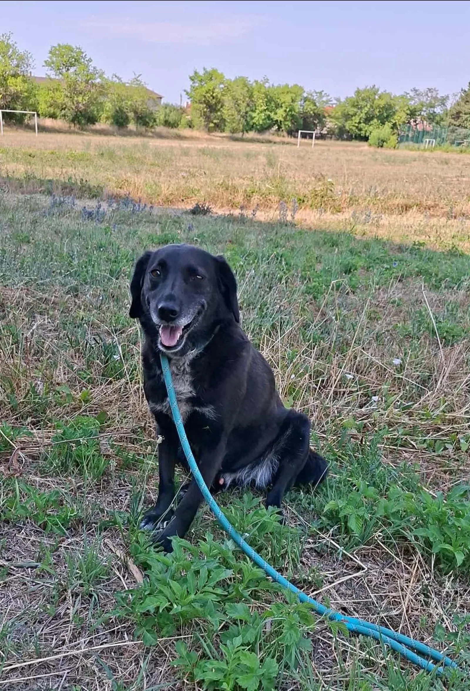 Charlie, Bild 22