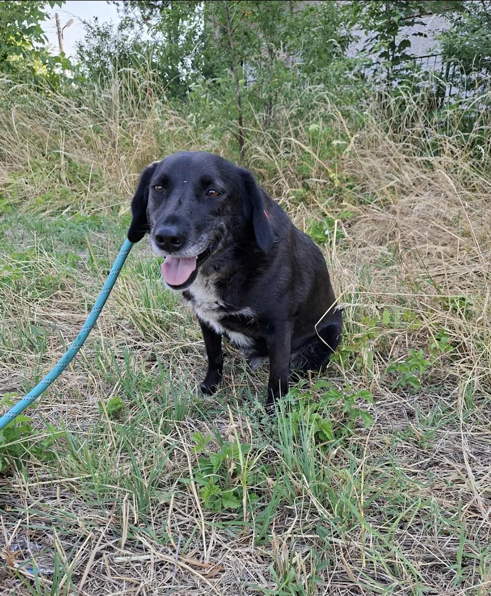 Charlie, Bild 23