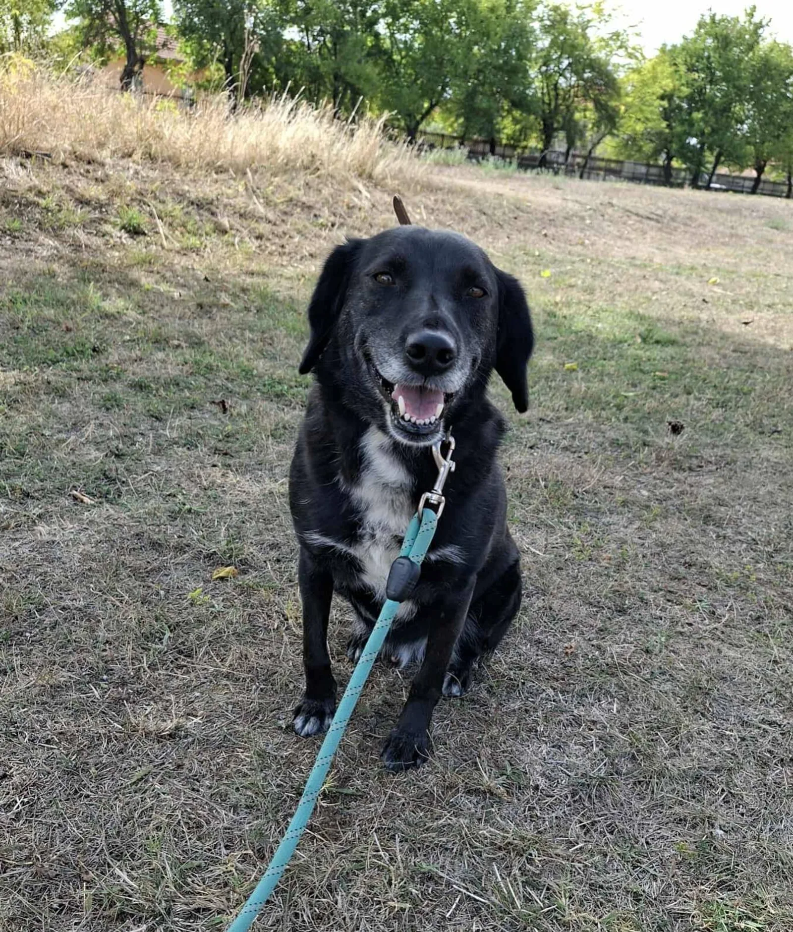 Charlie, Bild 25
