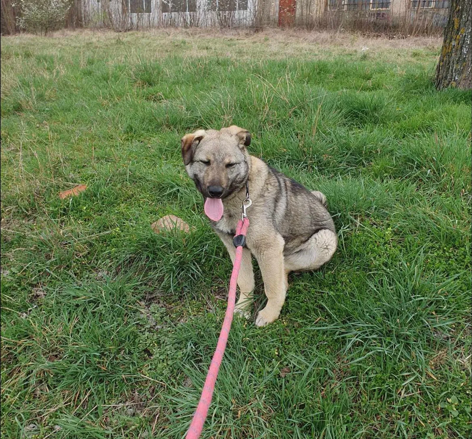Ares <3, Bild 9