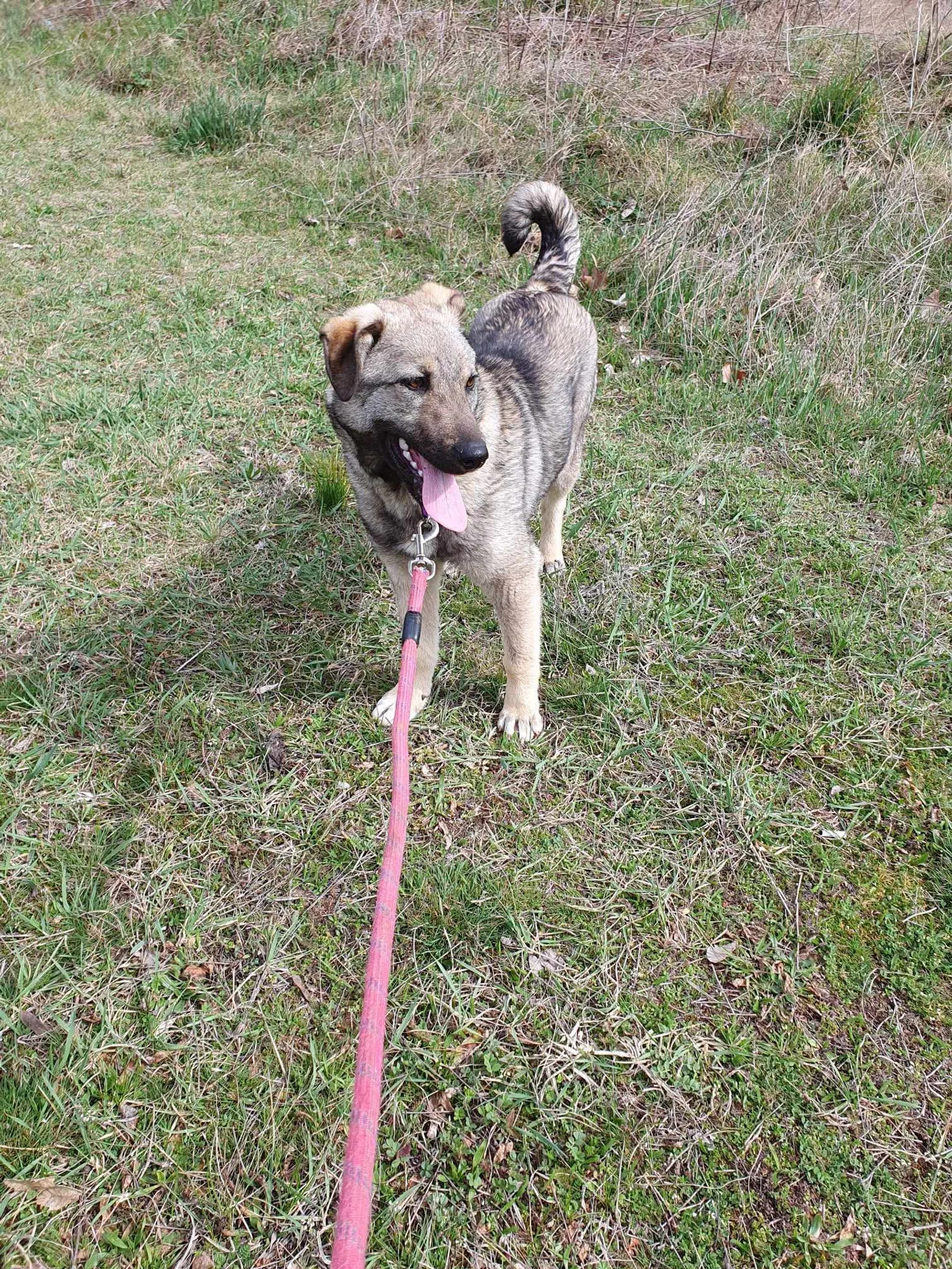 Ares <3, Bild 4