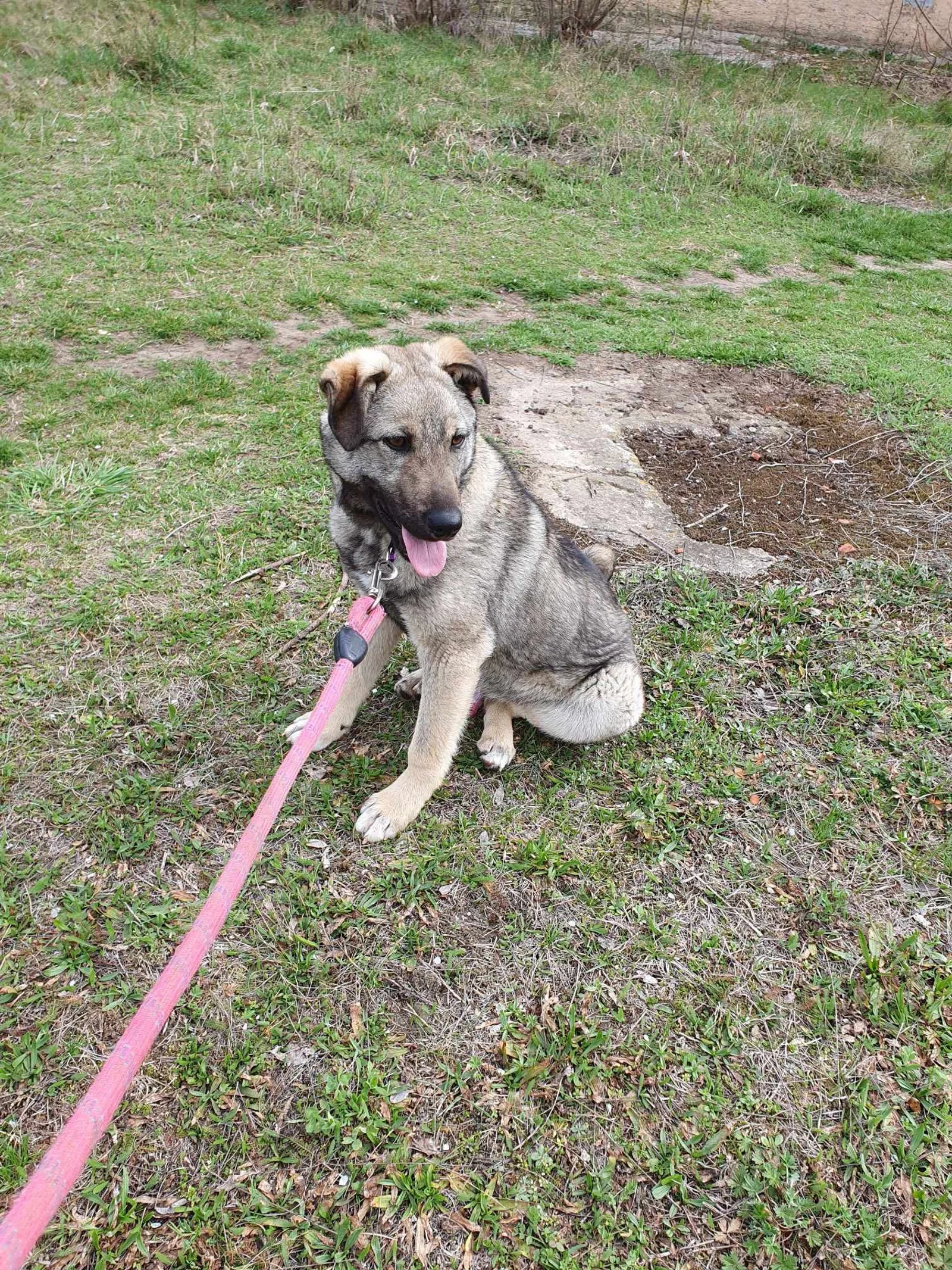 Ares <3, Bild 2