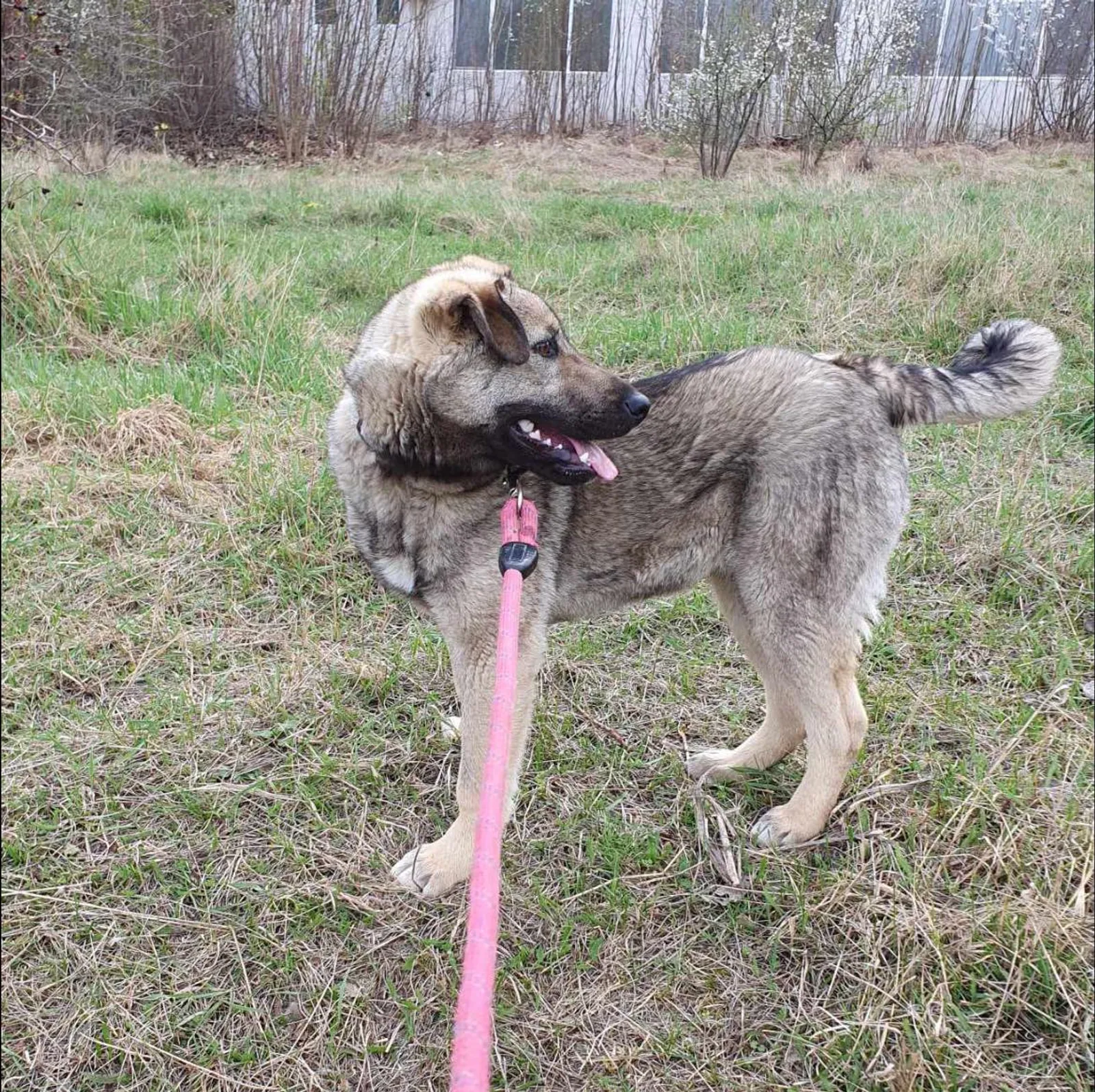 Ares <3, Bild 8