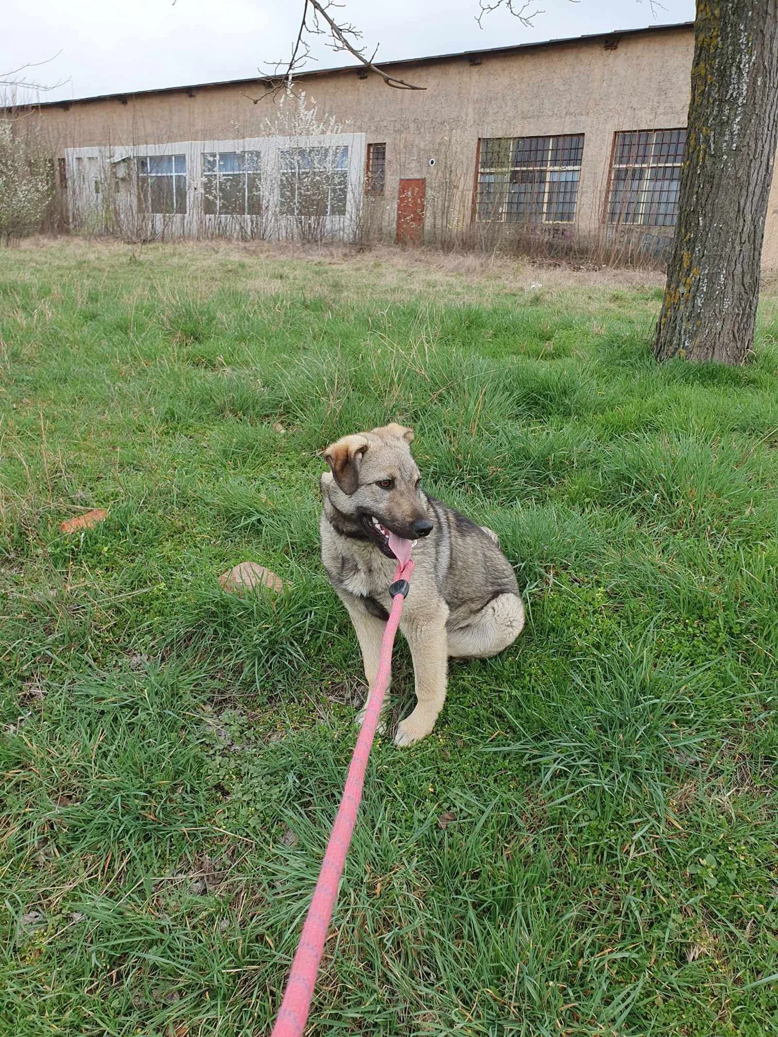 Ares <3, Bild 7