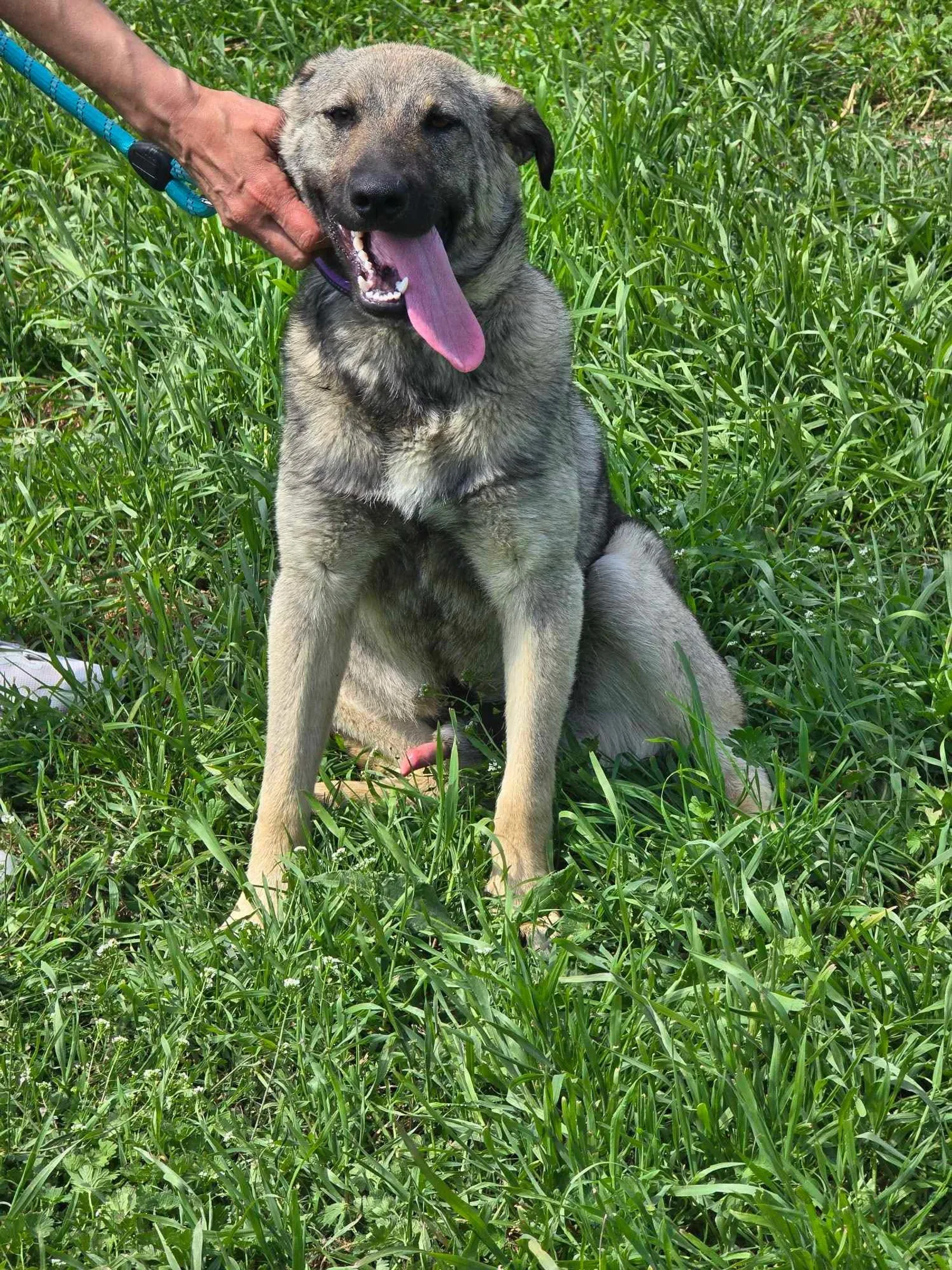 Ares <3, Bild 10