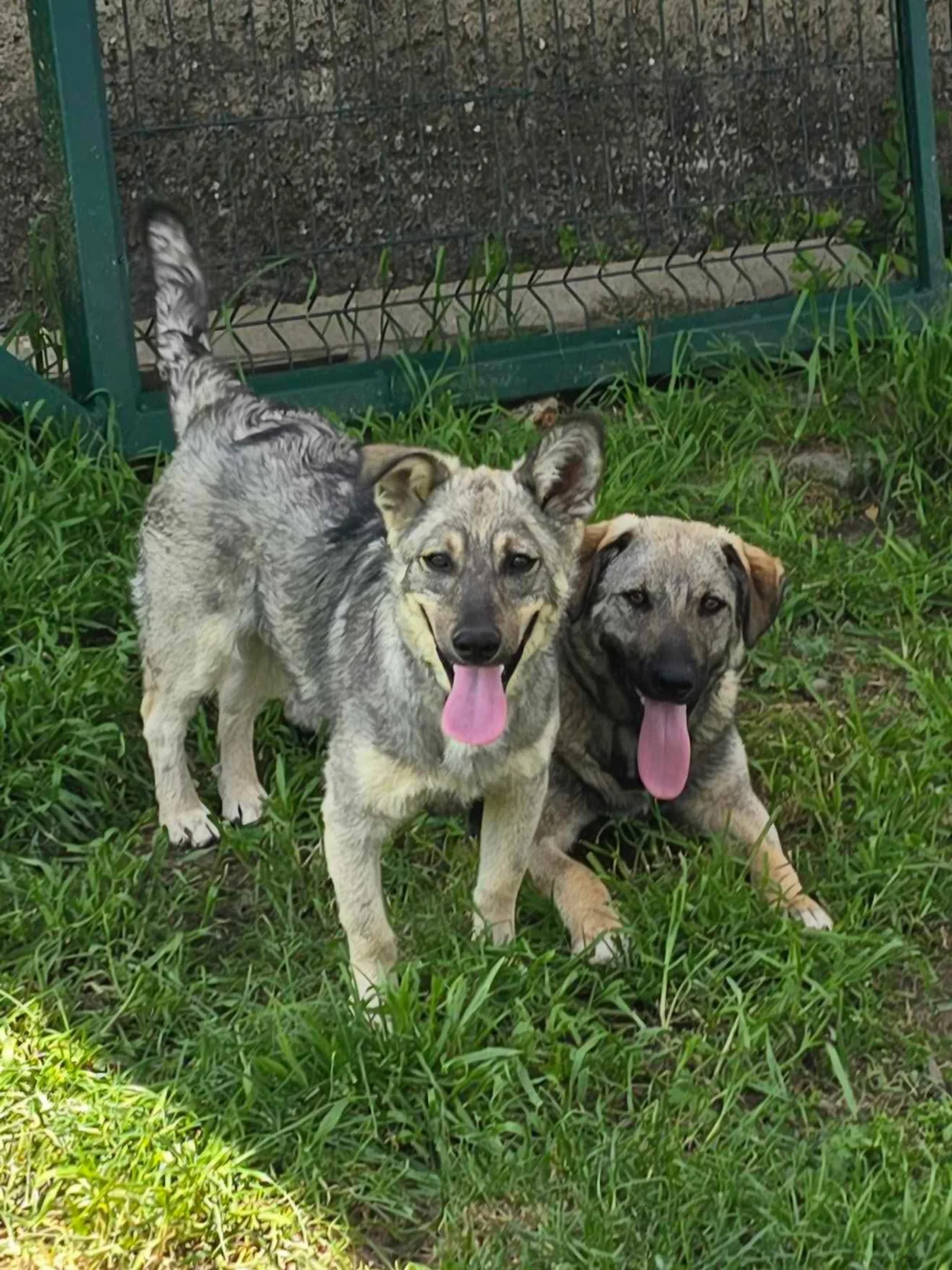 Ares <3, Bild 11