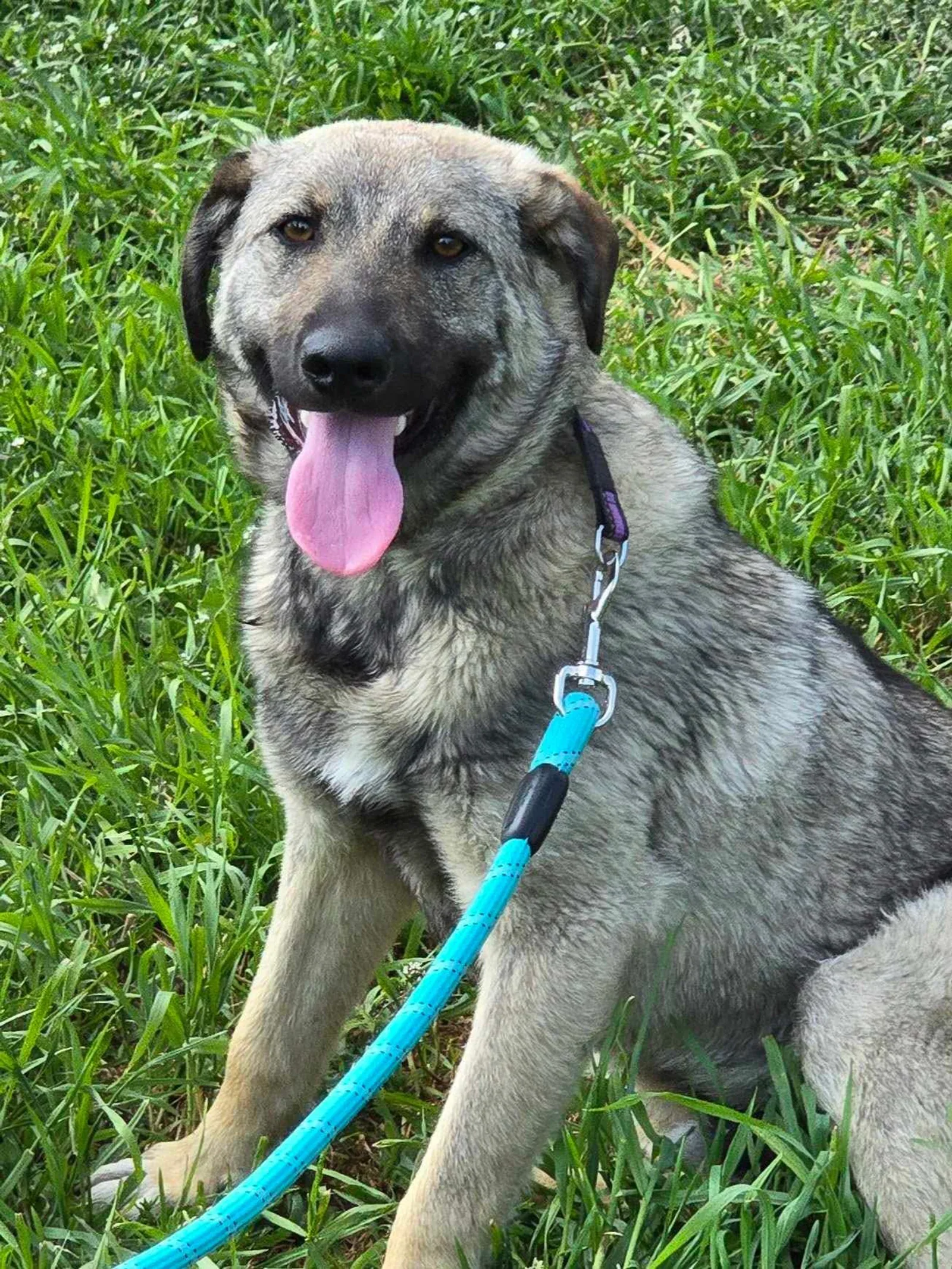 Ares <3, Bild 12