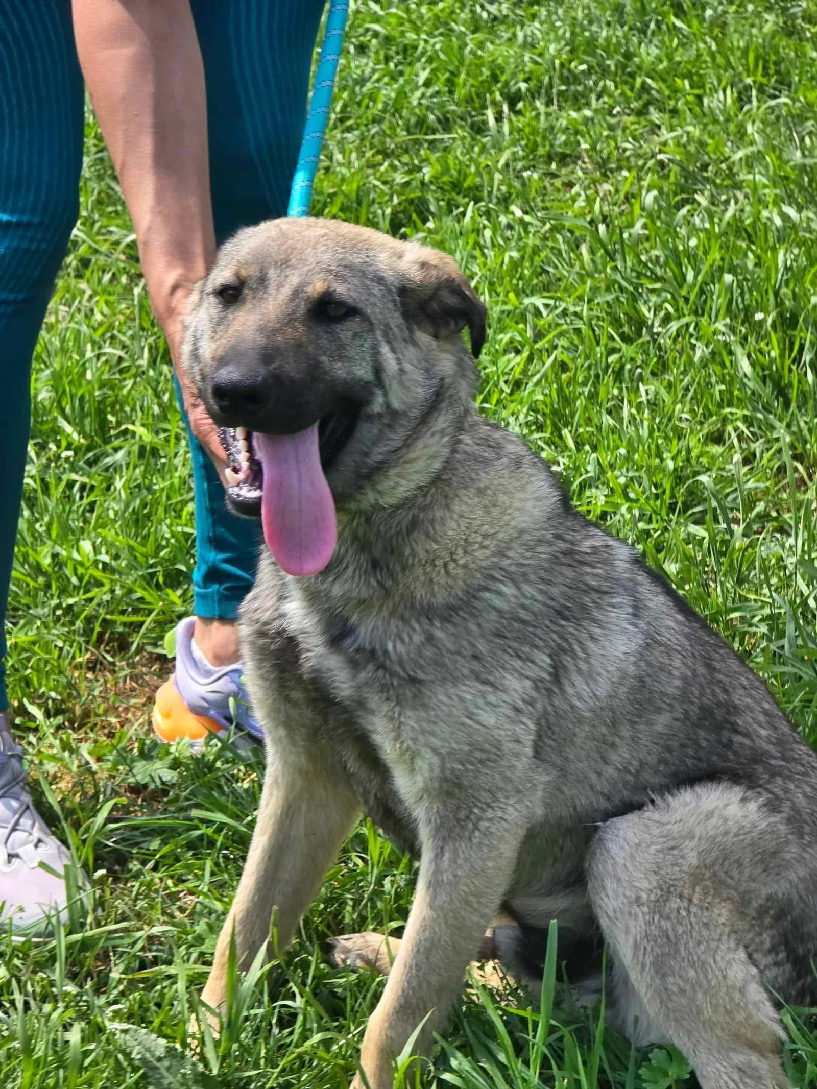 Ares <3, Bild 13