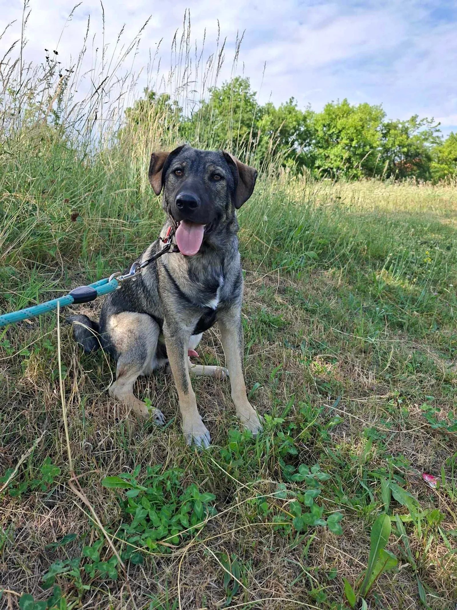 Ares <3, Bild 15