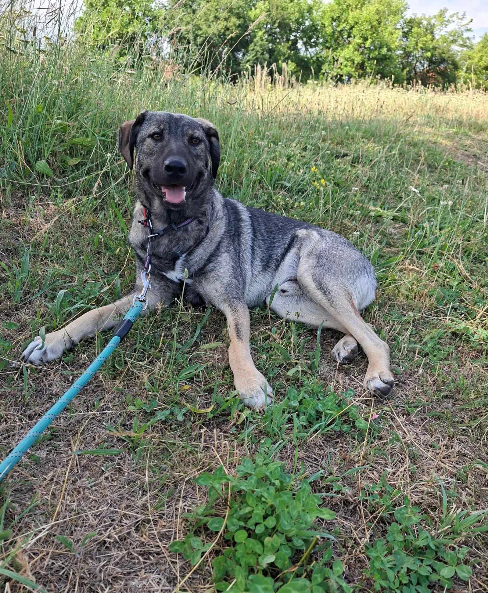 Ares <3, Bild 17