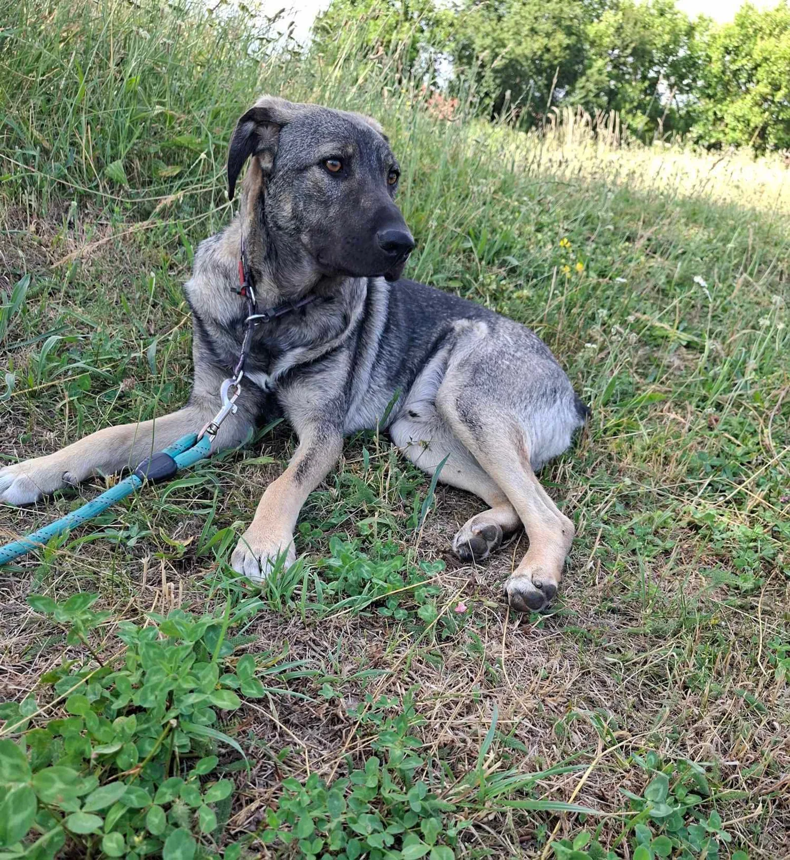 Ares <3, Bild 19