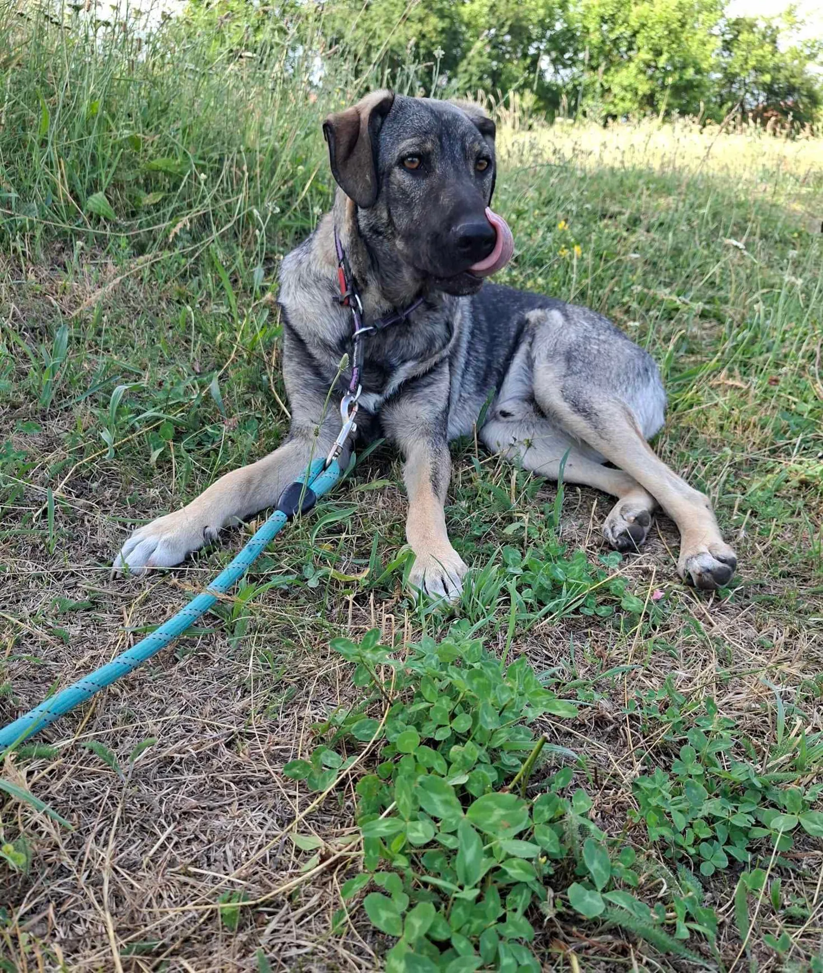 Ares <3, Bild 21