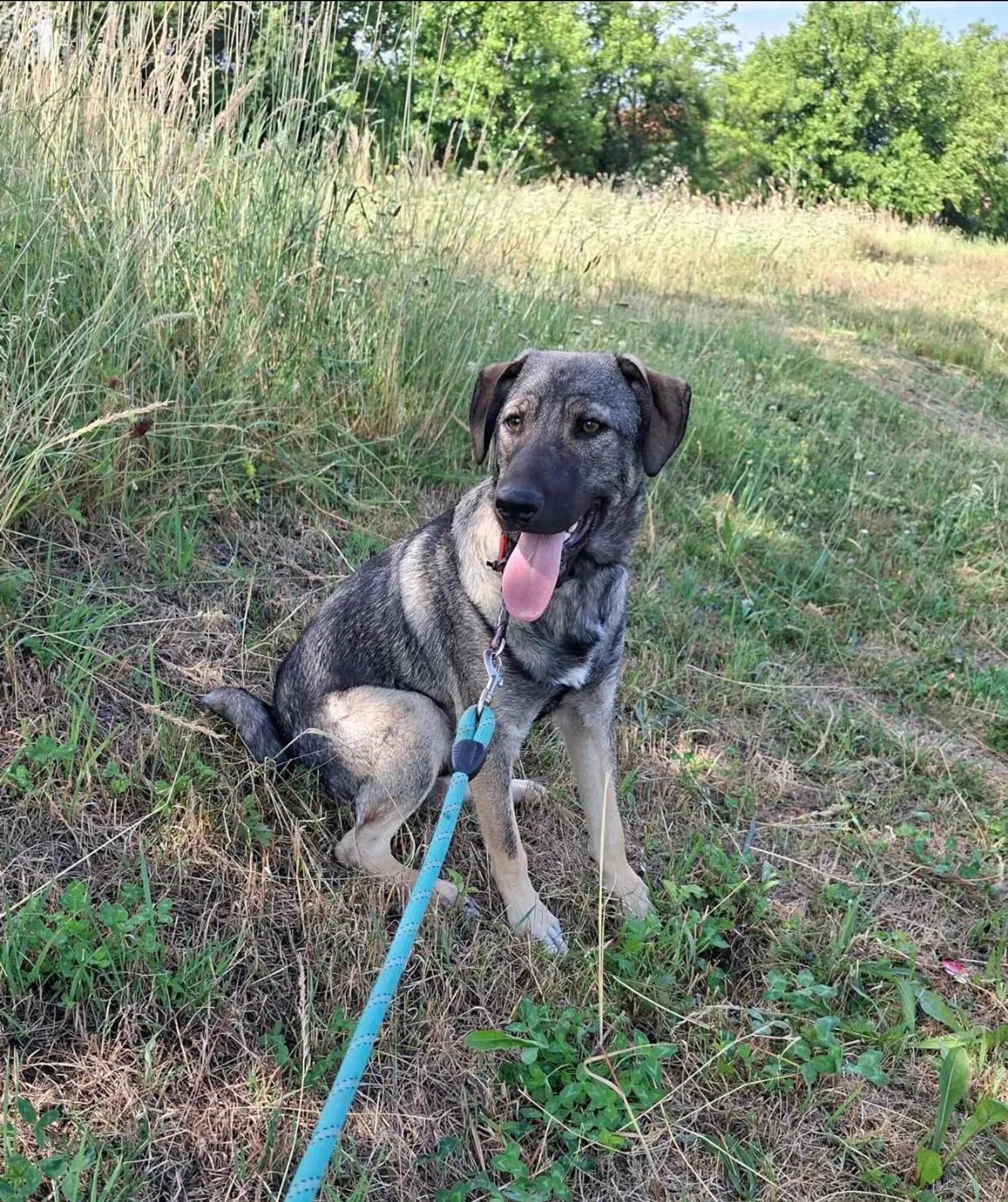 Ares <3, Bild 16