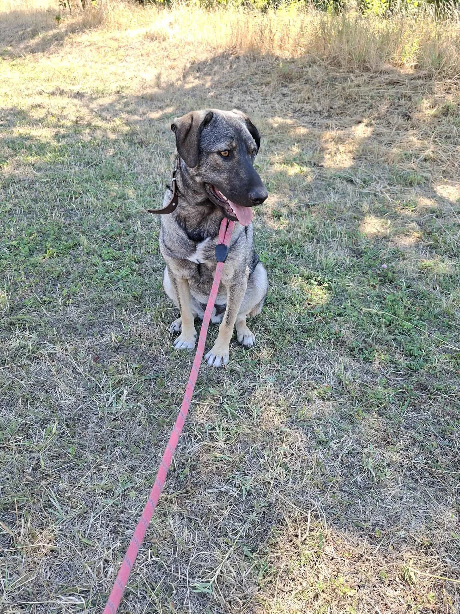 Ares <3, Bild 23