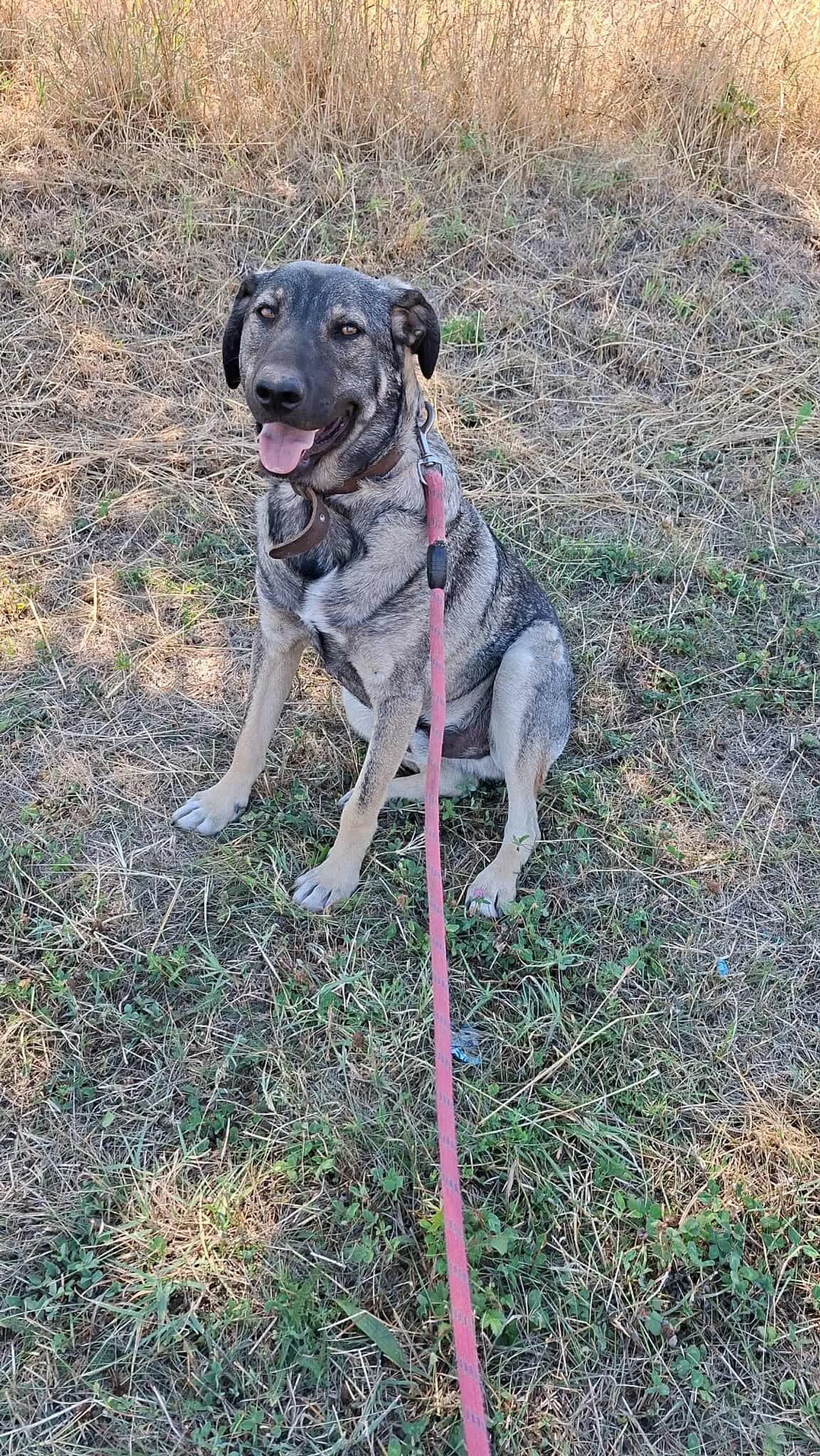 Ares <3, Bild 24