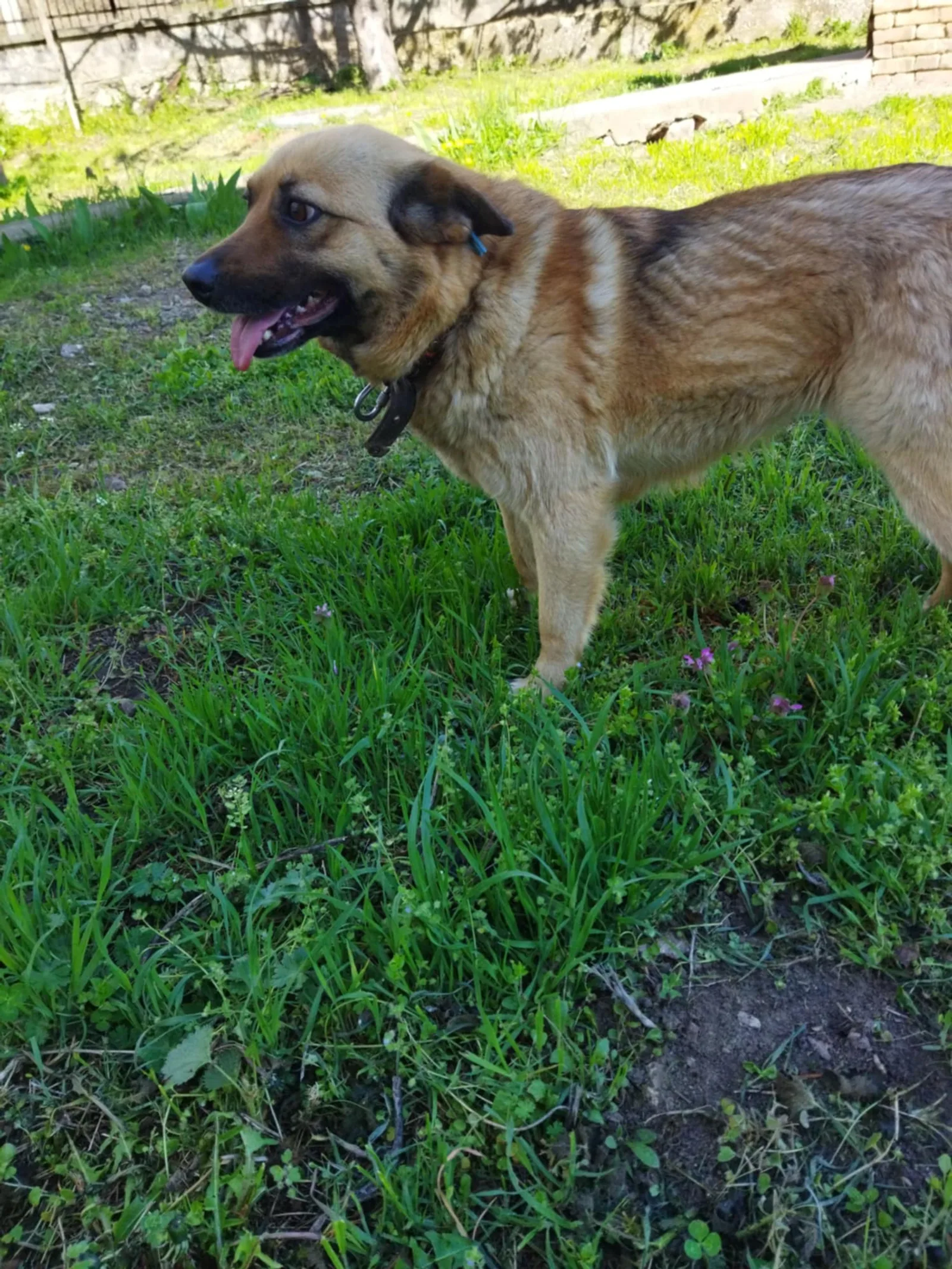Cherry, Bild 5