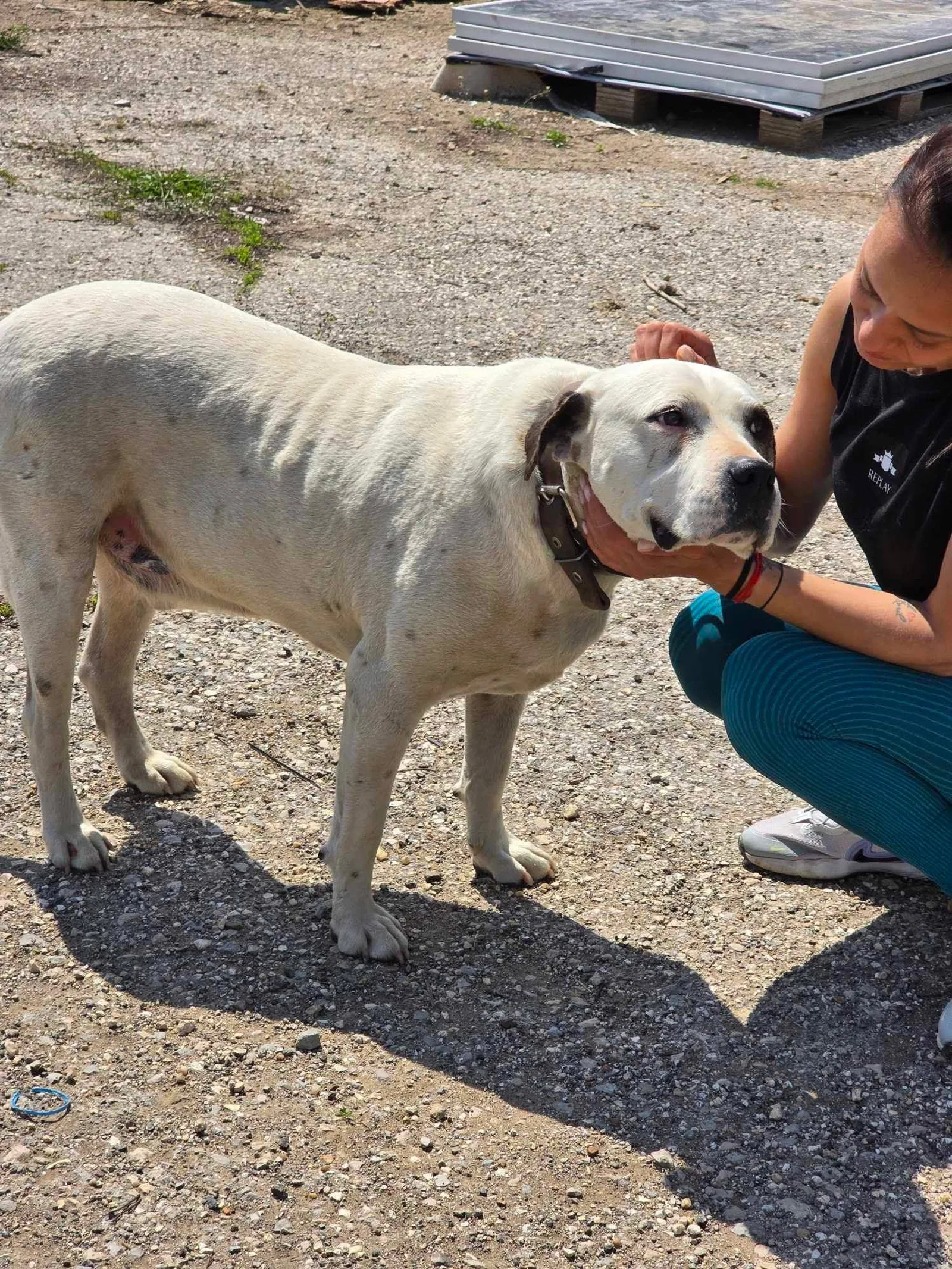 Max, Bild 7