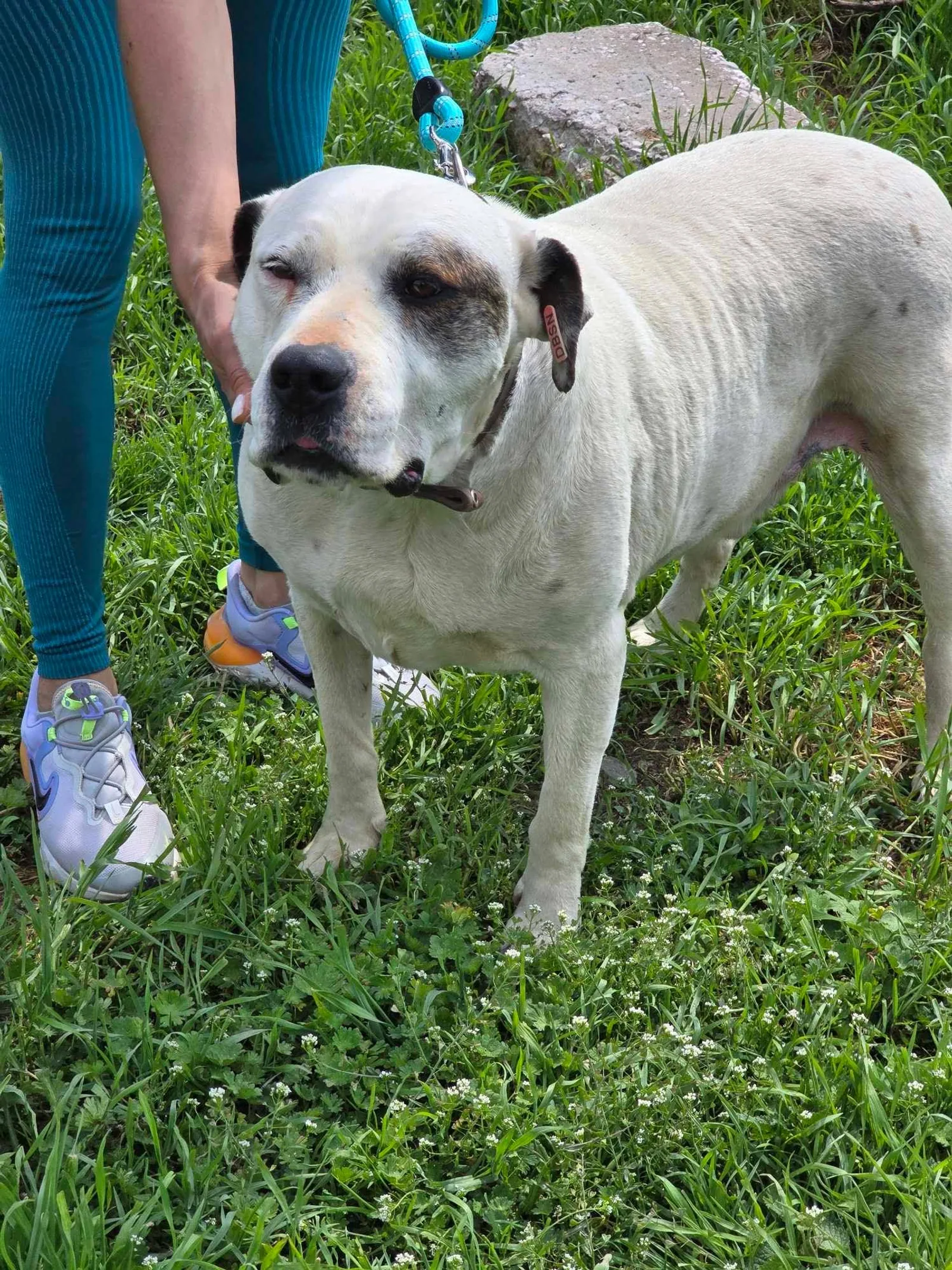 Max, Bild 2