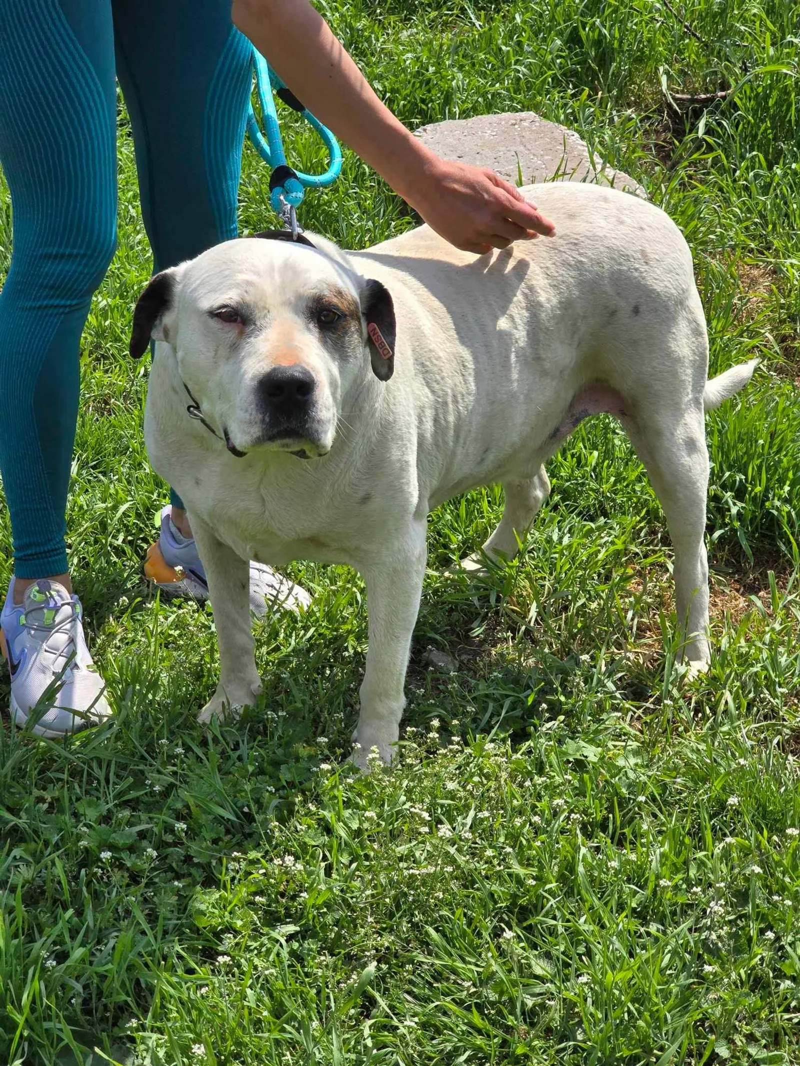 Max, Bild 13