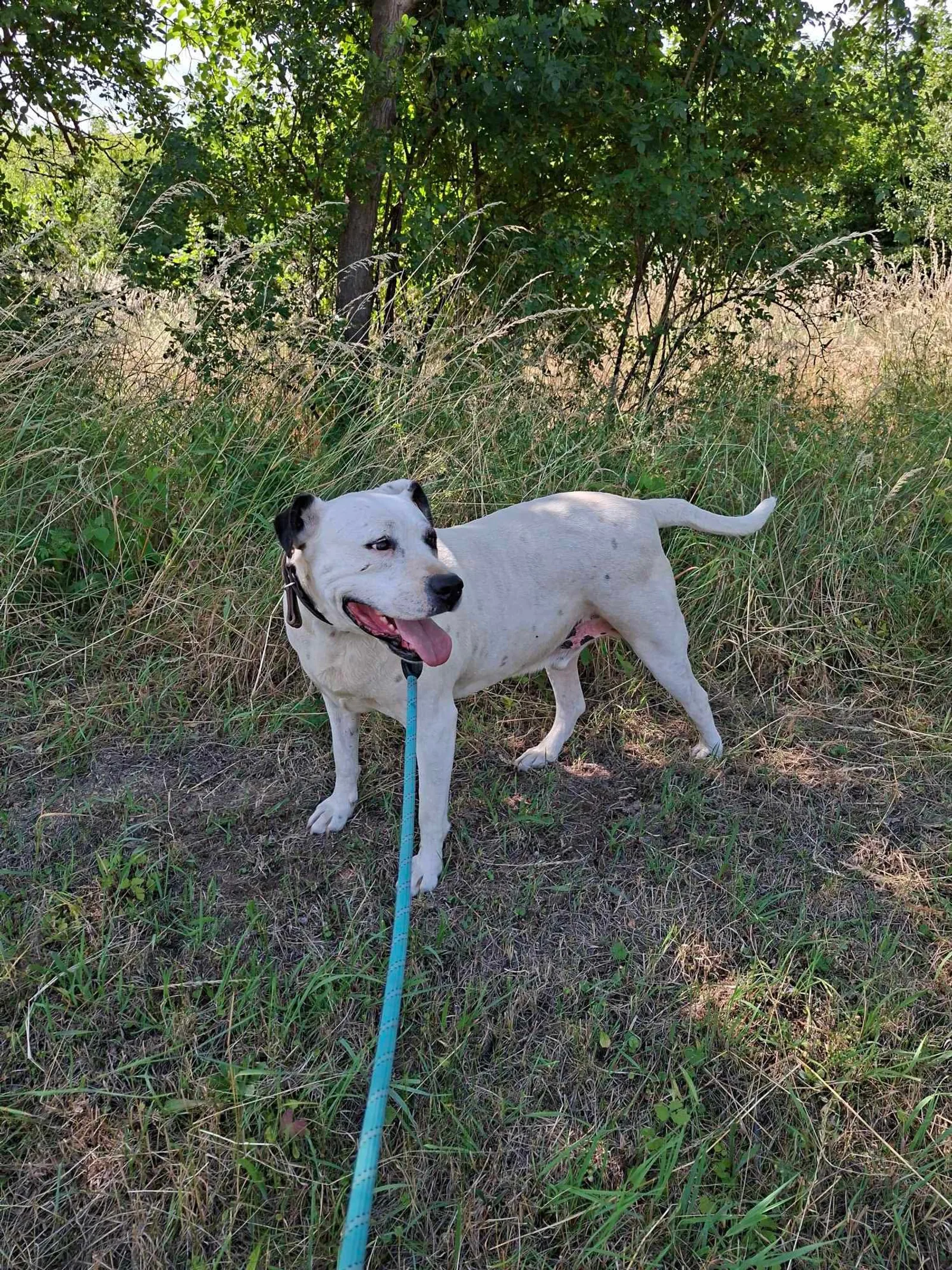 Max, Bild 16